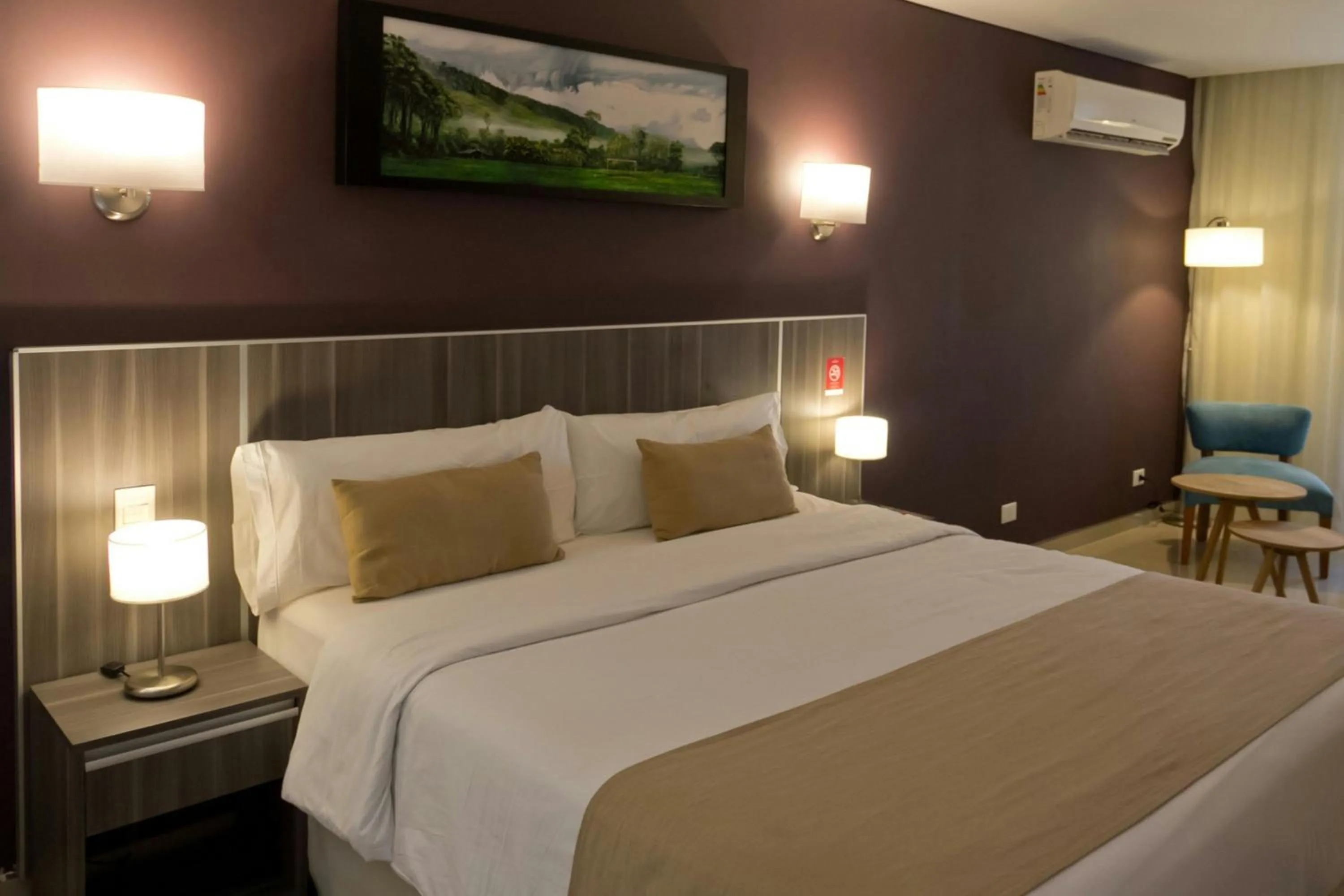 Standard King Room with Limited View in City Falls Iguazú