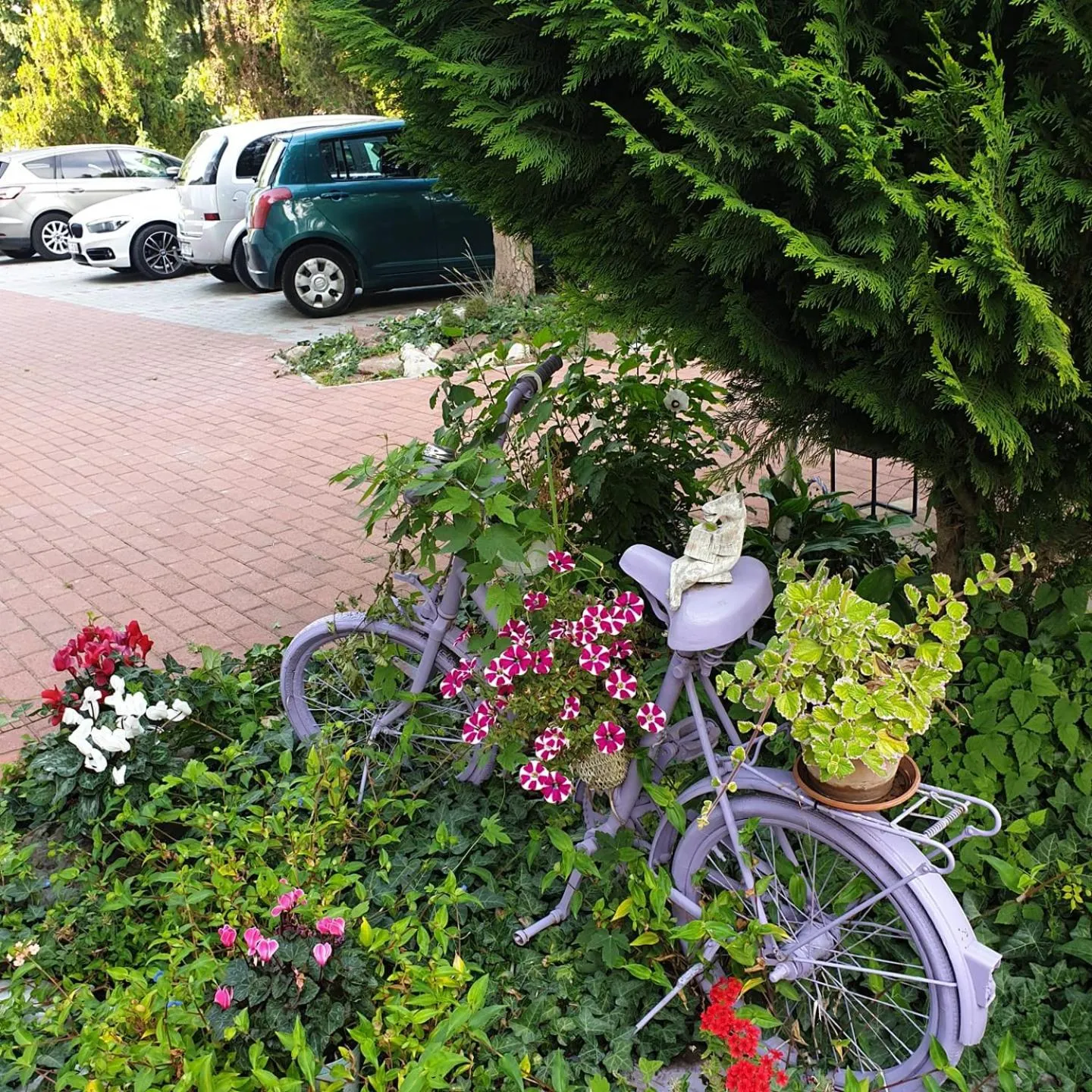 Alabástrom Panzió és Étterem