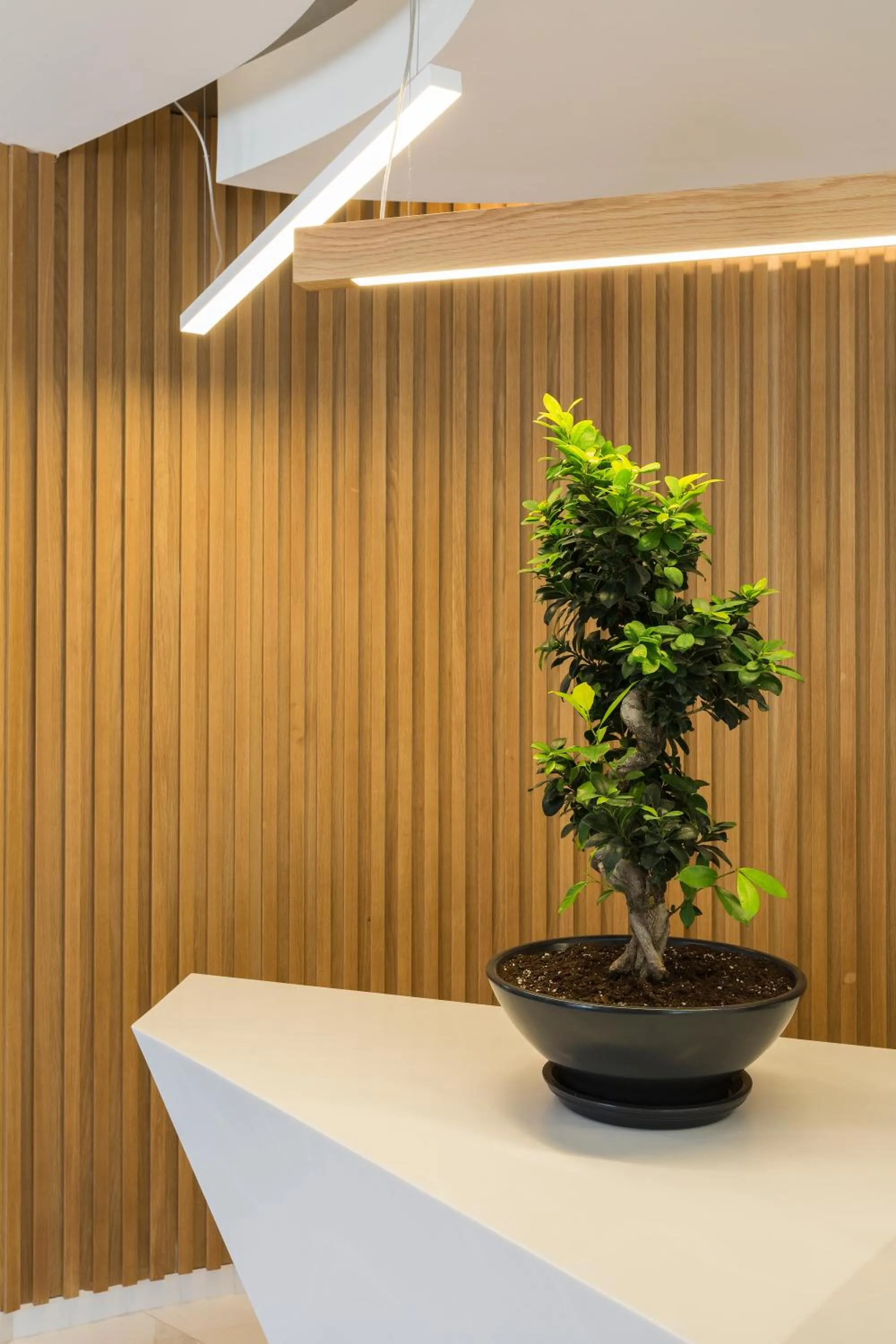 Lobby or reception in Samian Mare Hotel, Suites & Spa