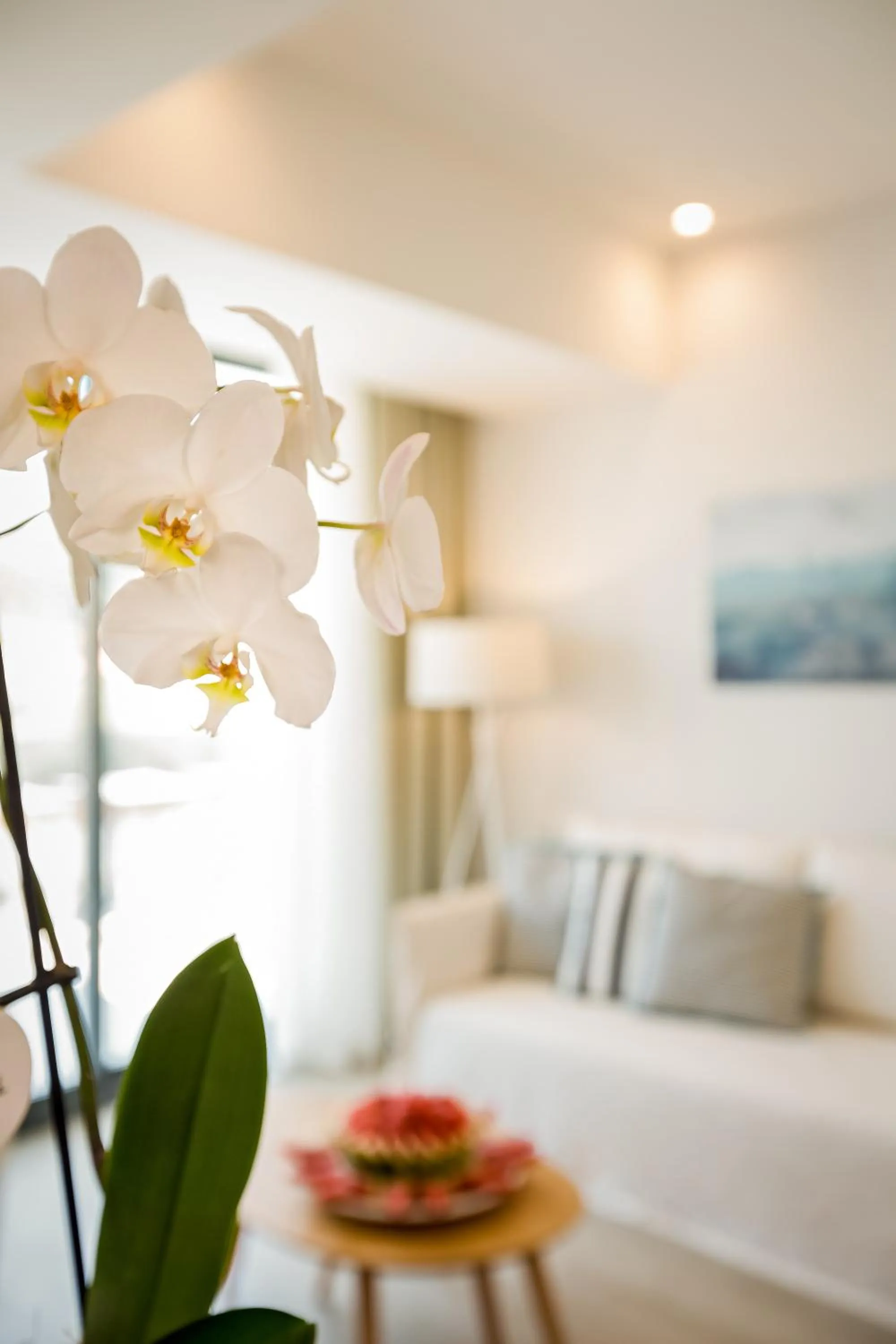 Living room in Samian Mare Hotel, Suites & Spa