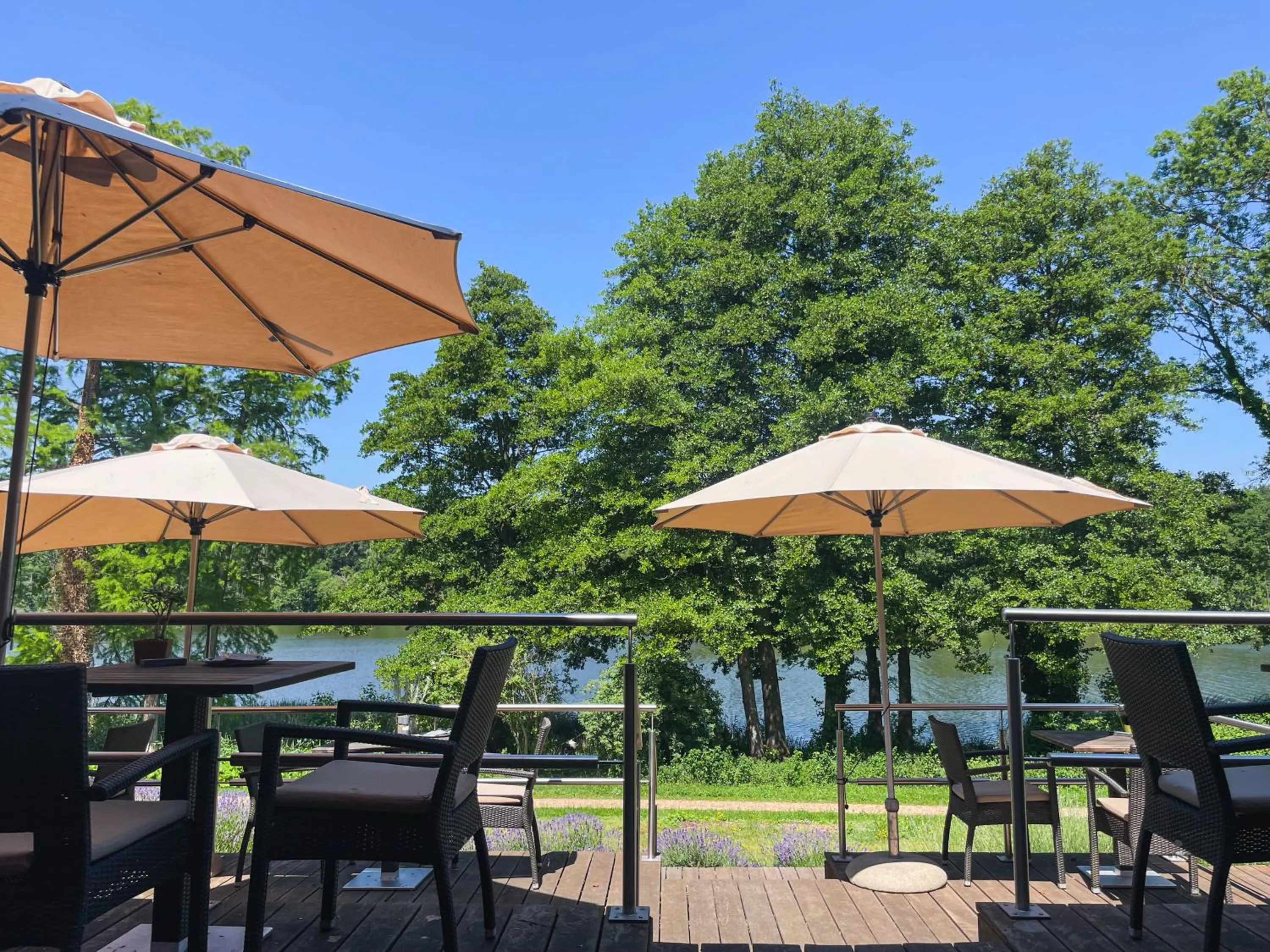 View (from property/room) in Landgut Stober