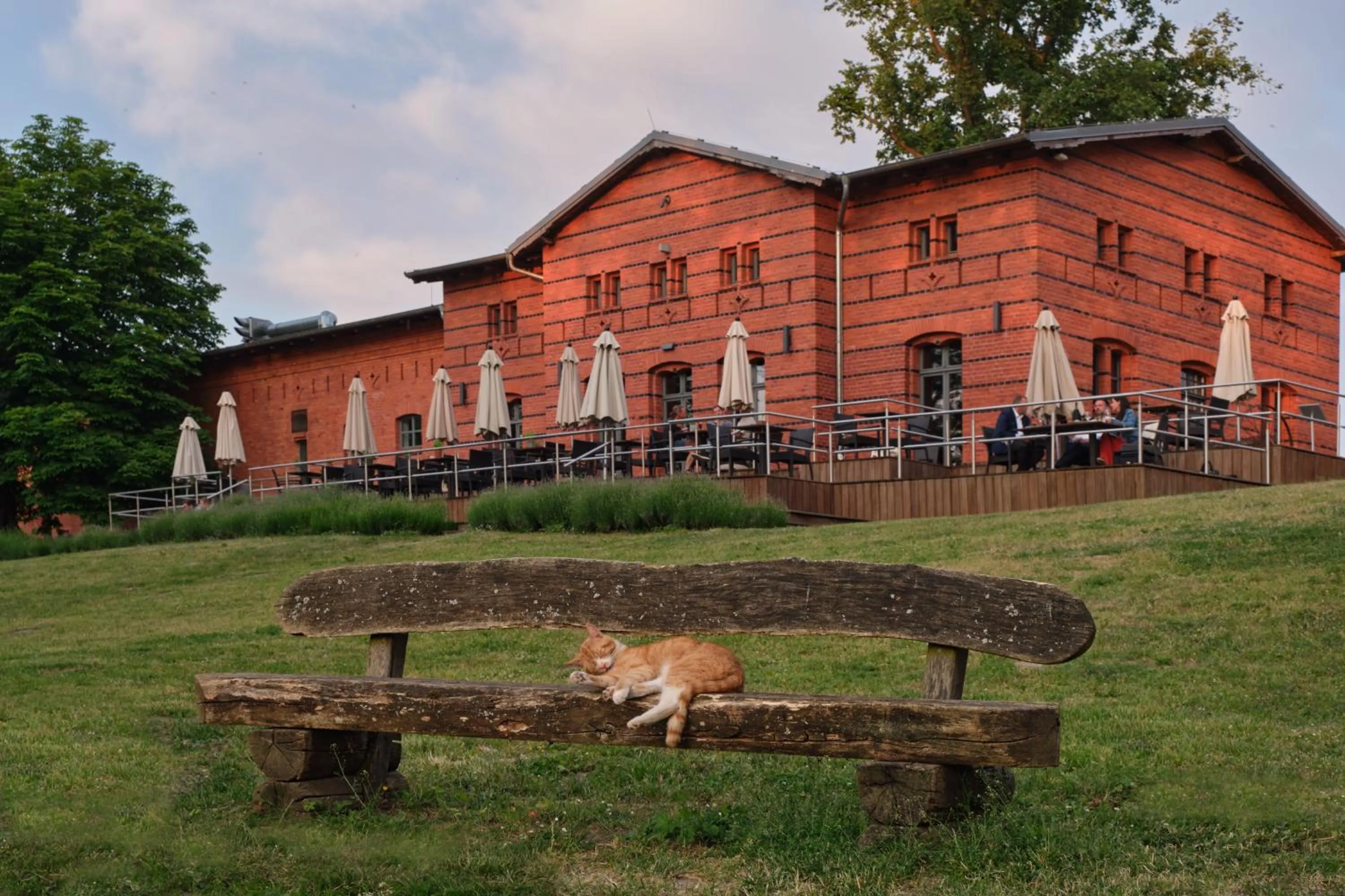 Restaurant/places to eat in Landgut Stober