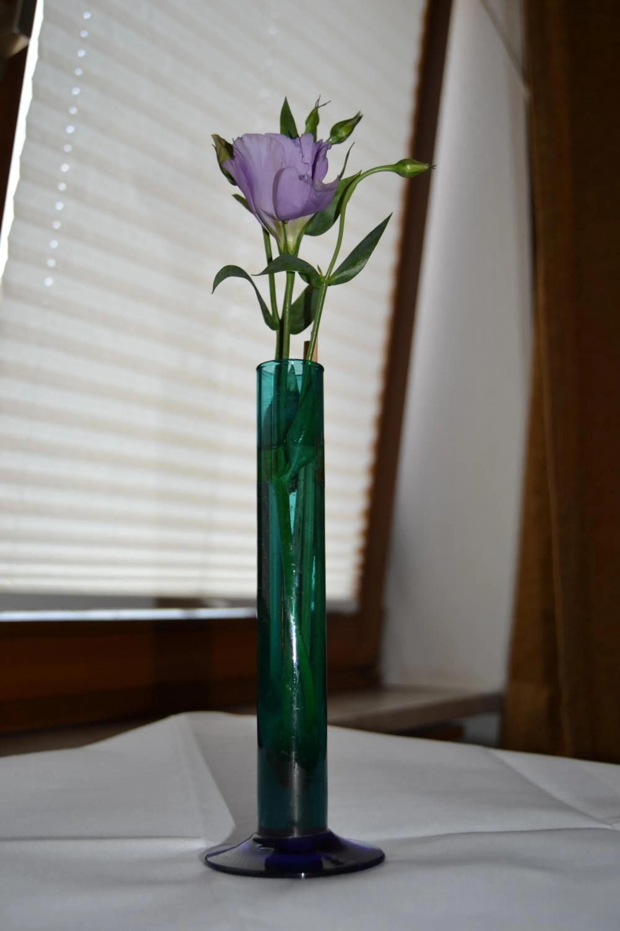 Hofreit am Bierkeller