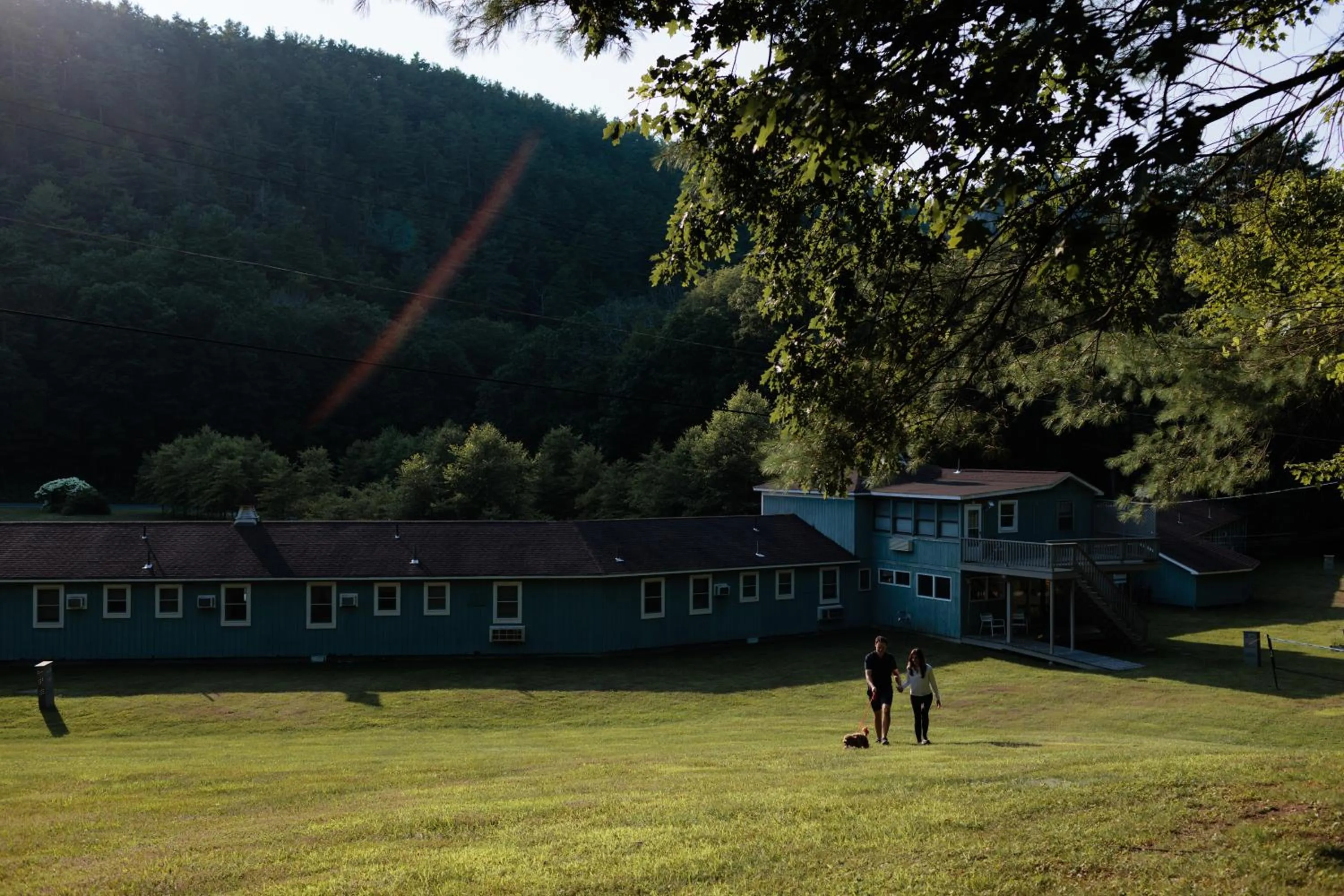 Property building in The Little Lion
