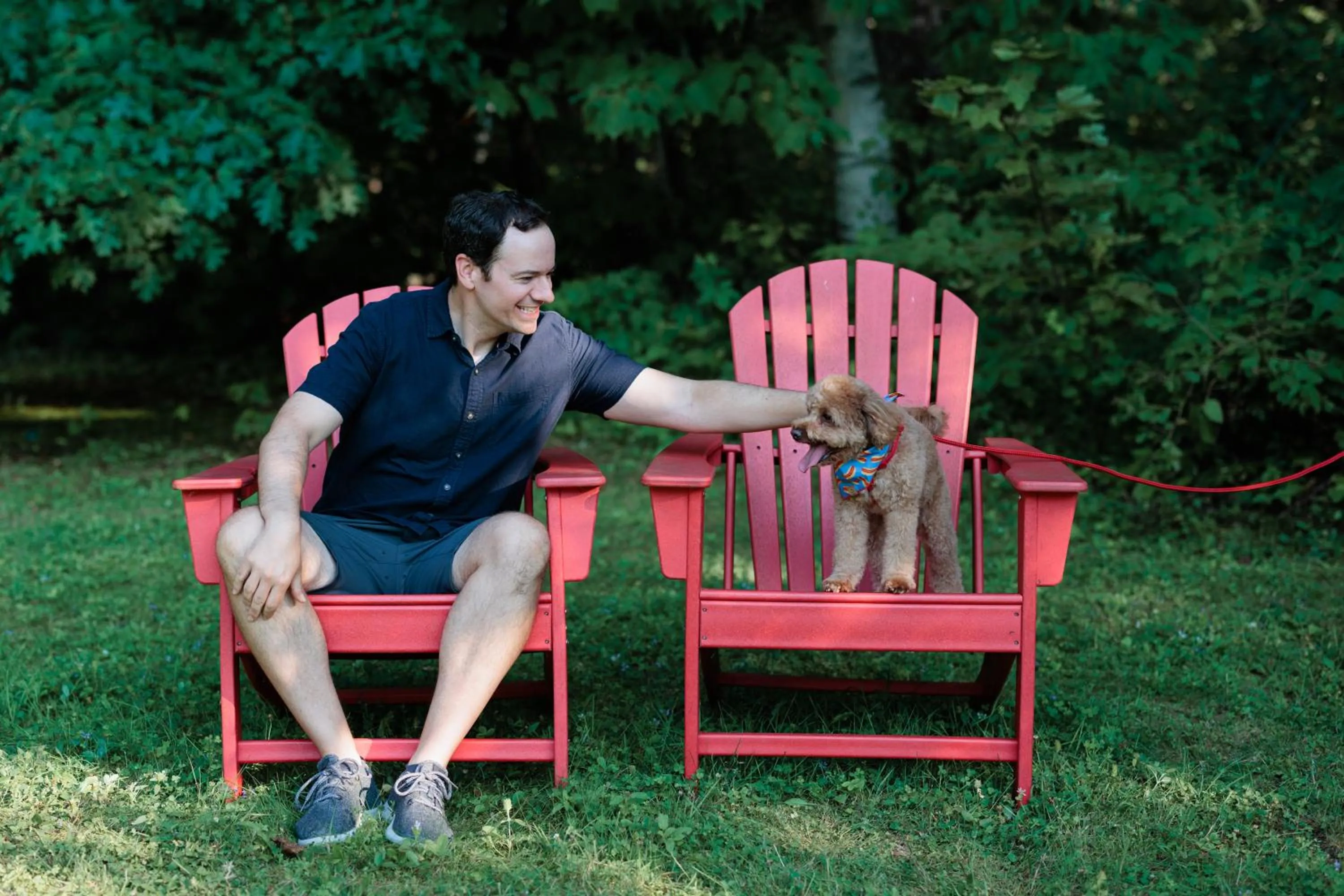 Pets in The Little Lion