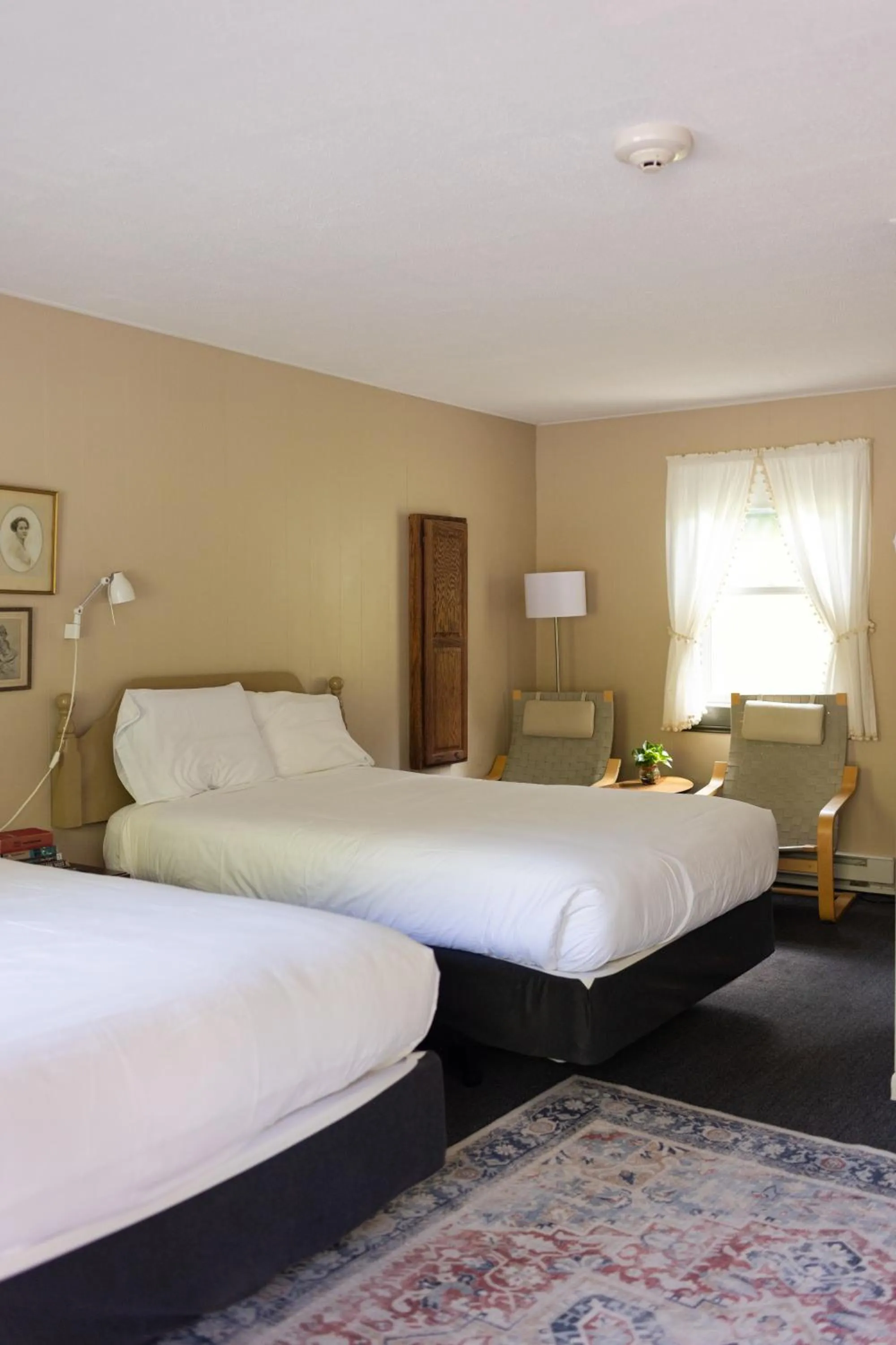 Bedroom, Bed in The Little Lion