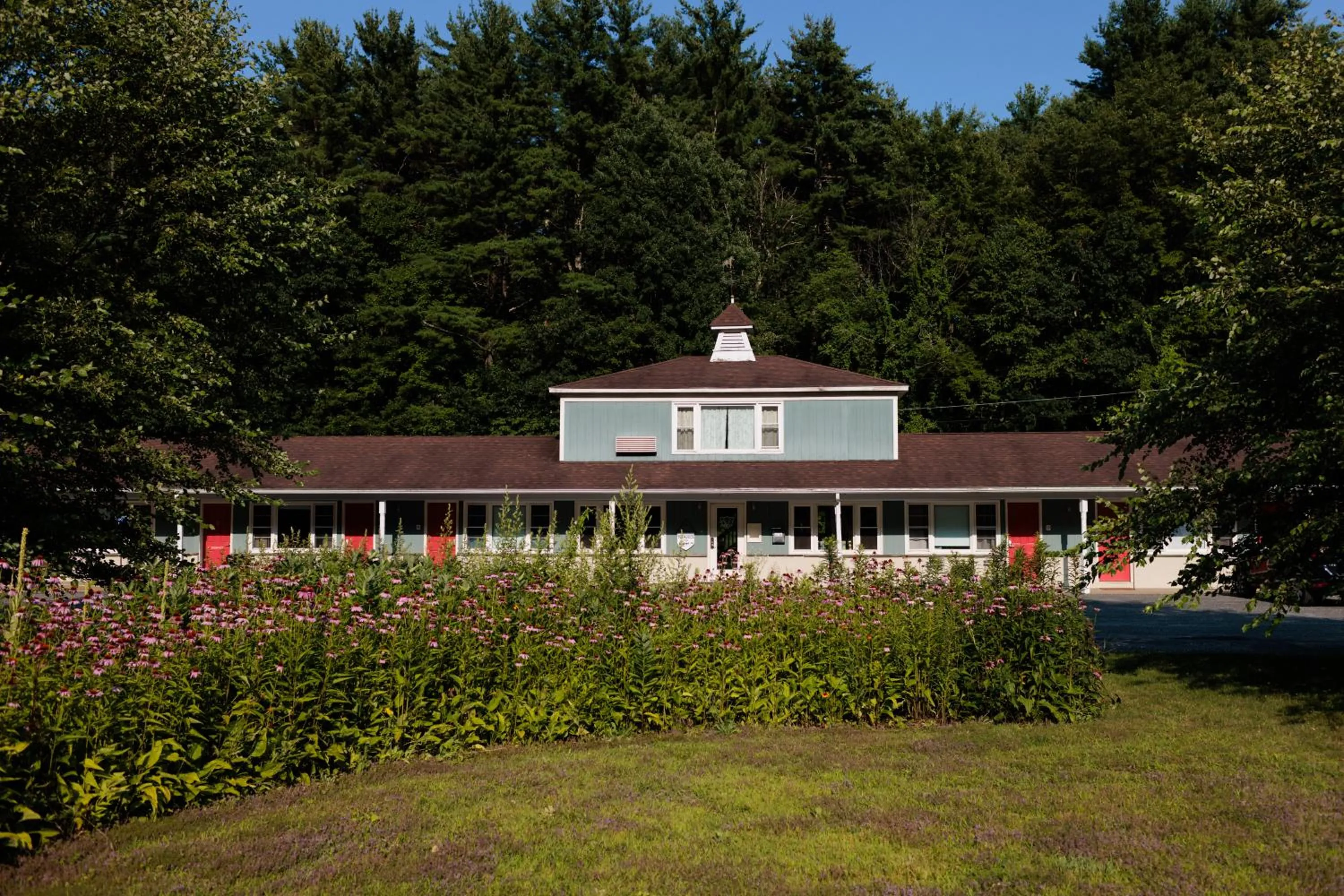 Property building in The Little Lion