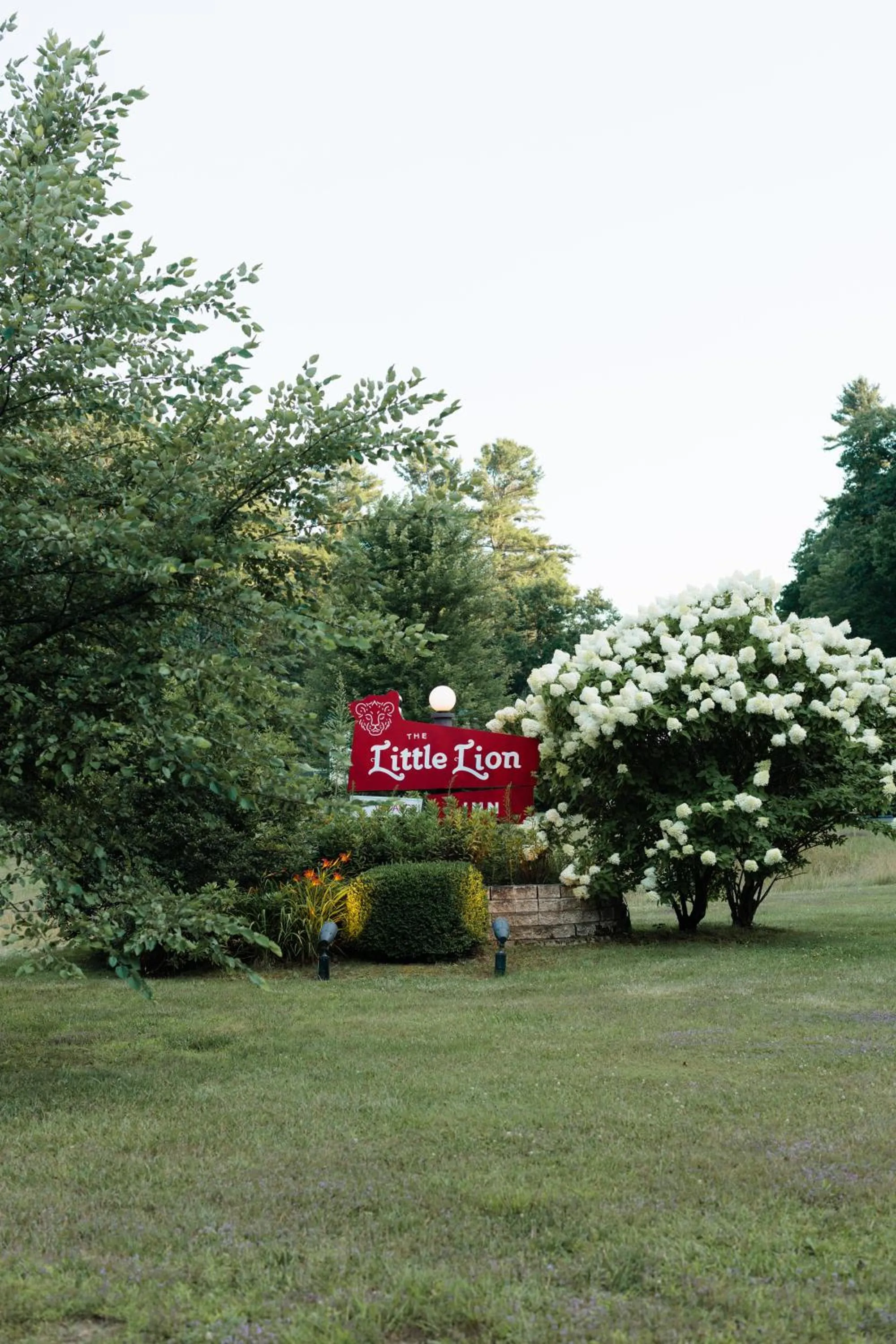 Property logo or sign in The Little Lion
