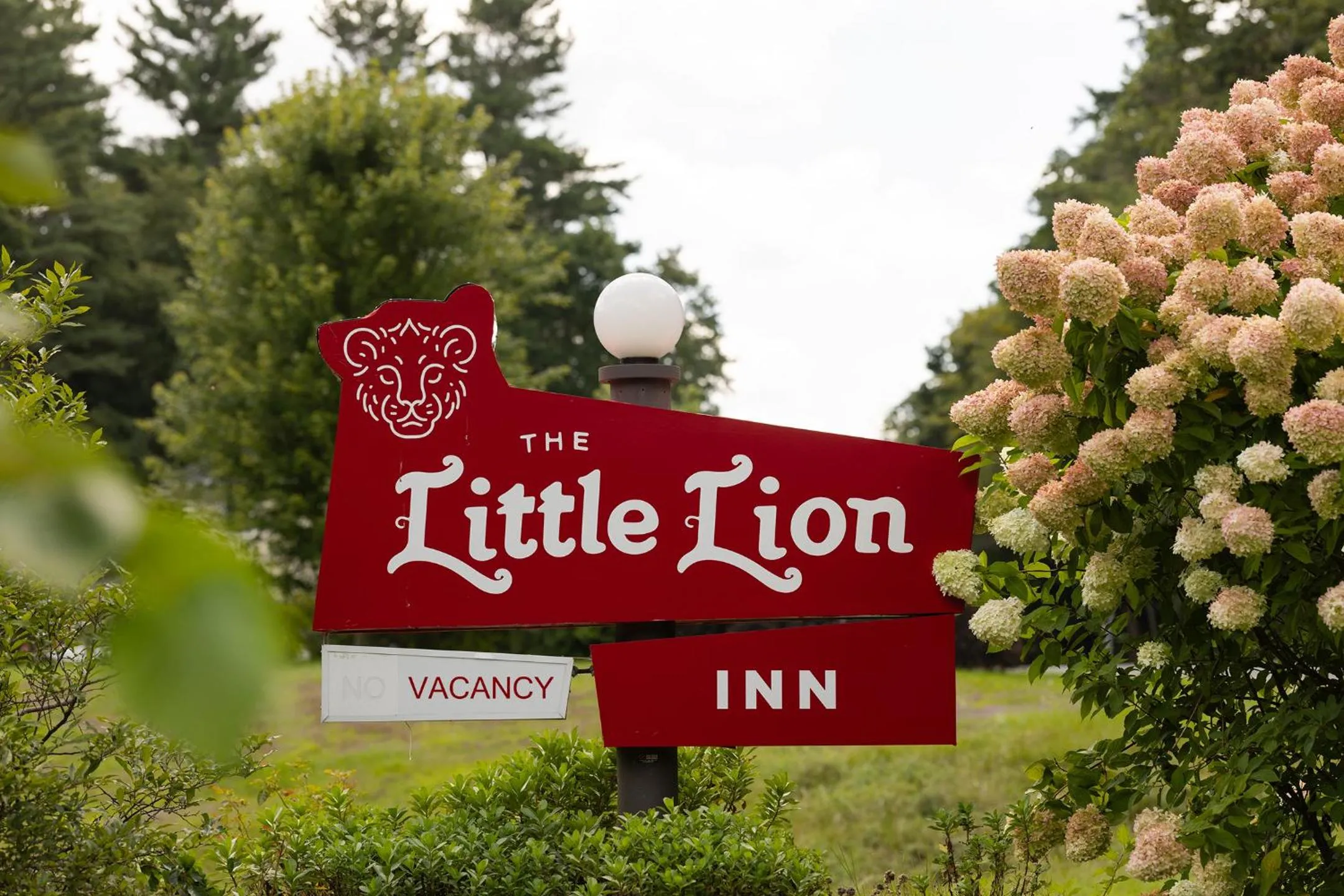 Property logo or sign in The Little Lion