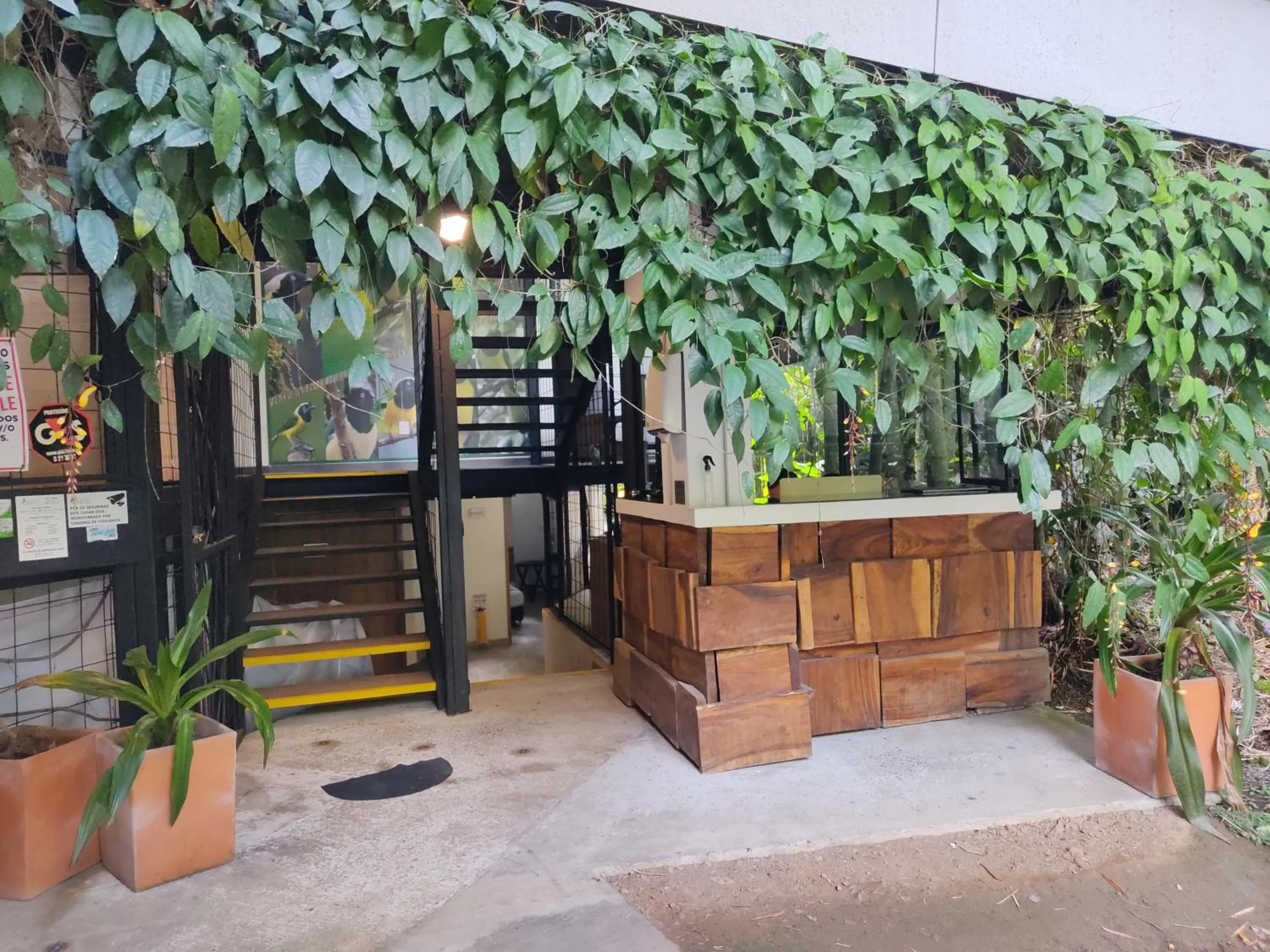 Lobby or reception in Alojamiento Carriquí