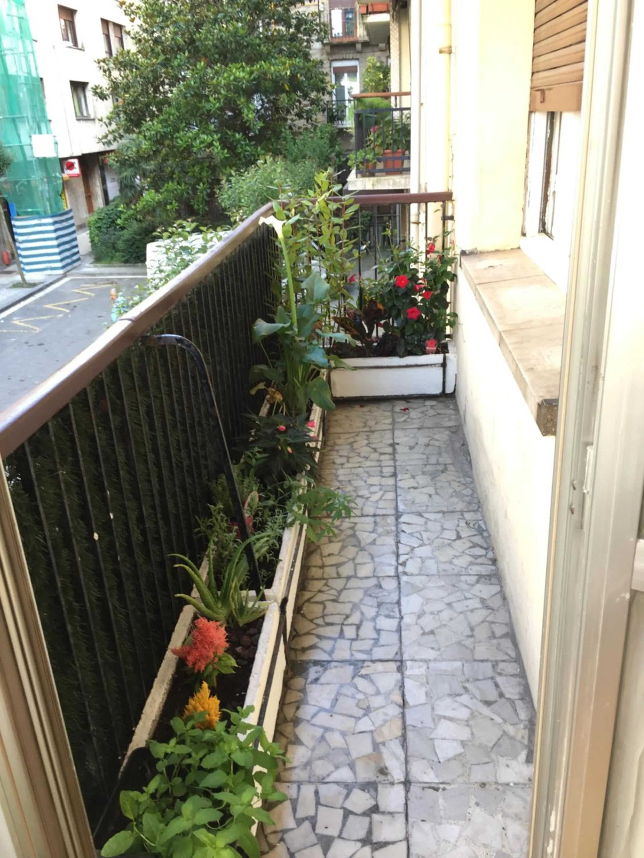Balcony/Terrace in Akasha Arima