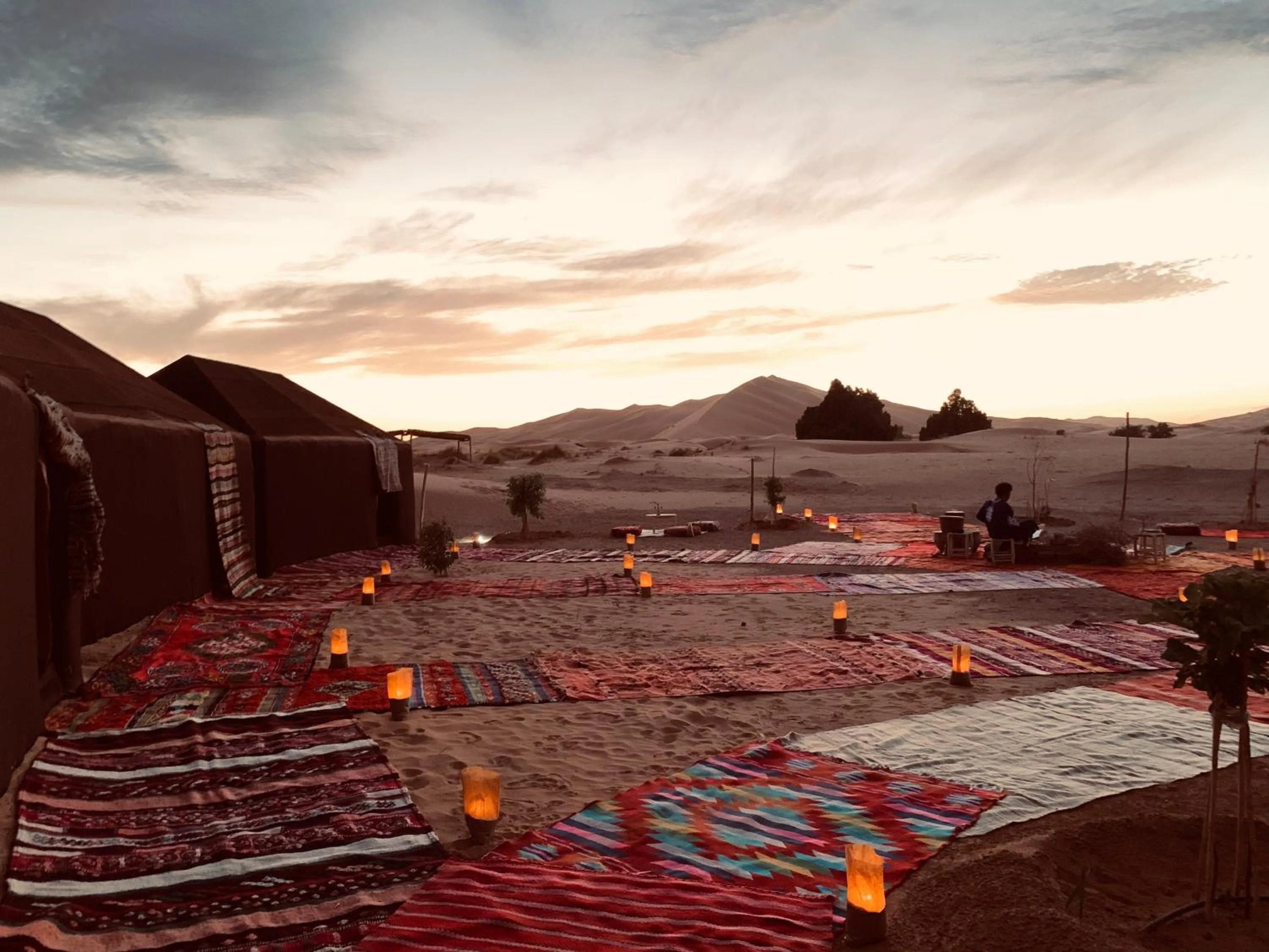 Day in Sahara wellness camp