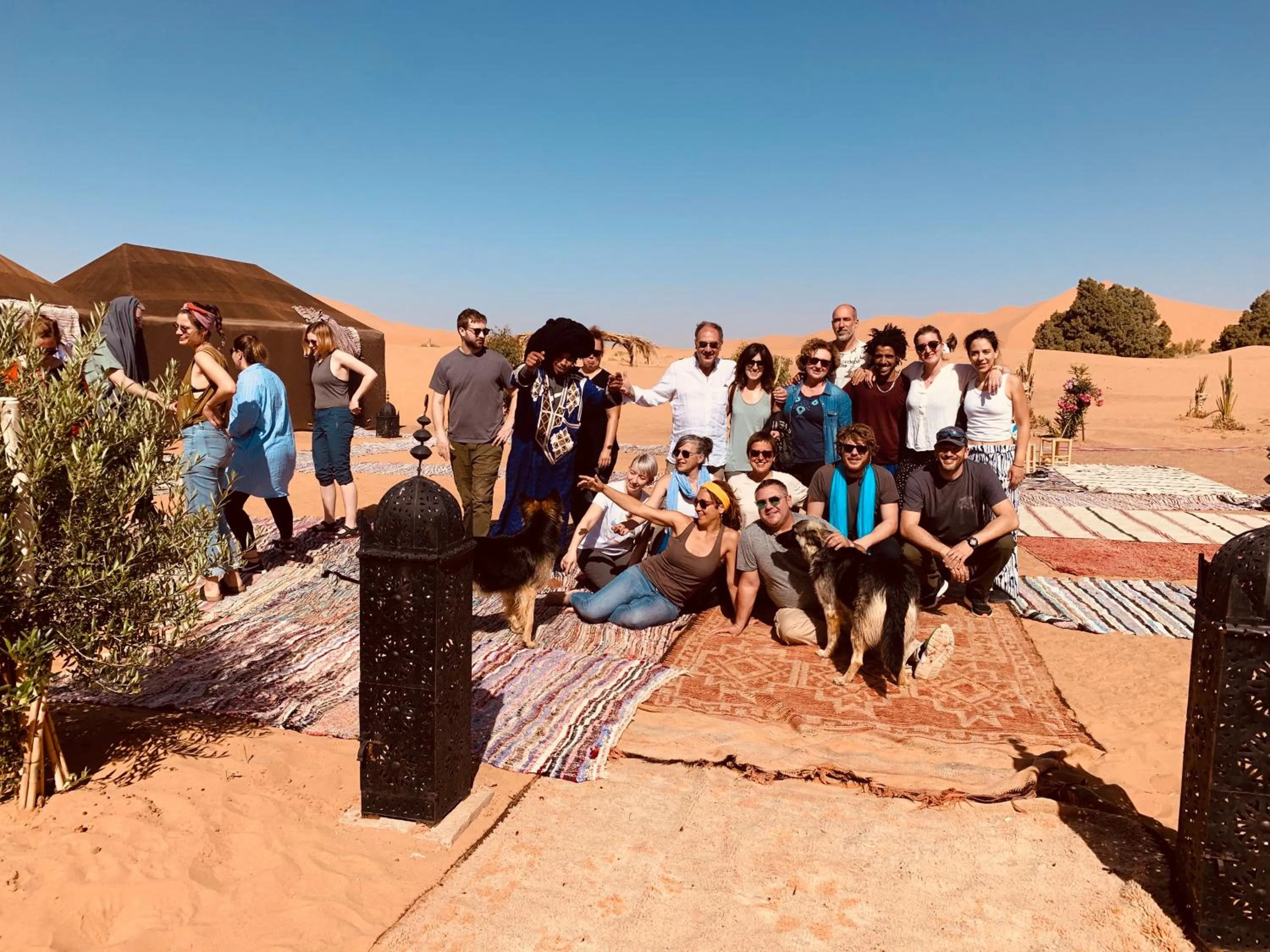 Property building in Sahara wellness camp