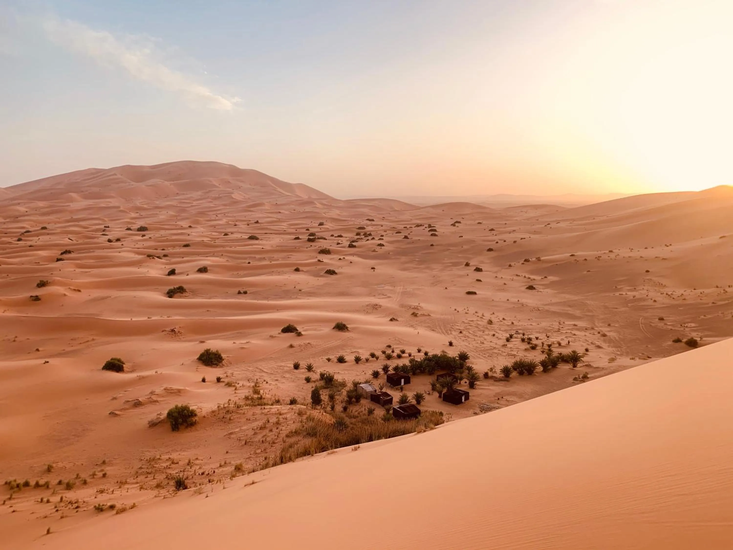 Property building in Sahara wellness camp