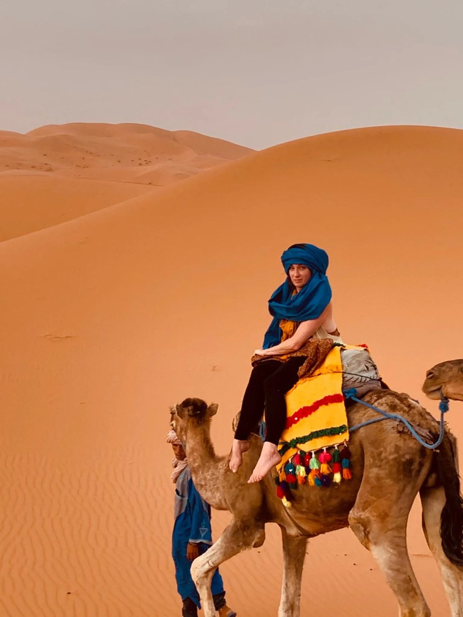 Property building in Sahara wellness camp