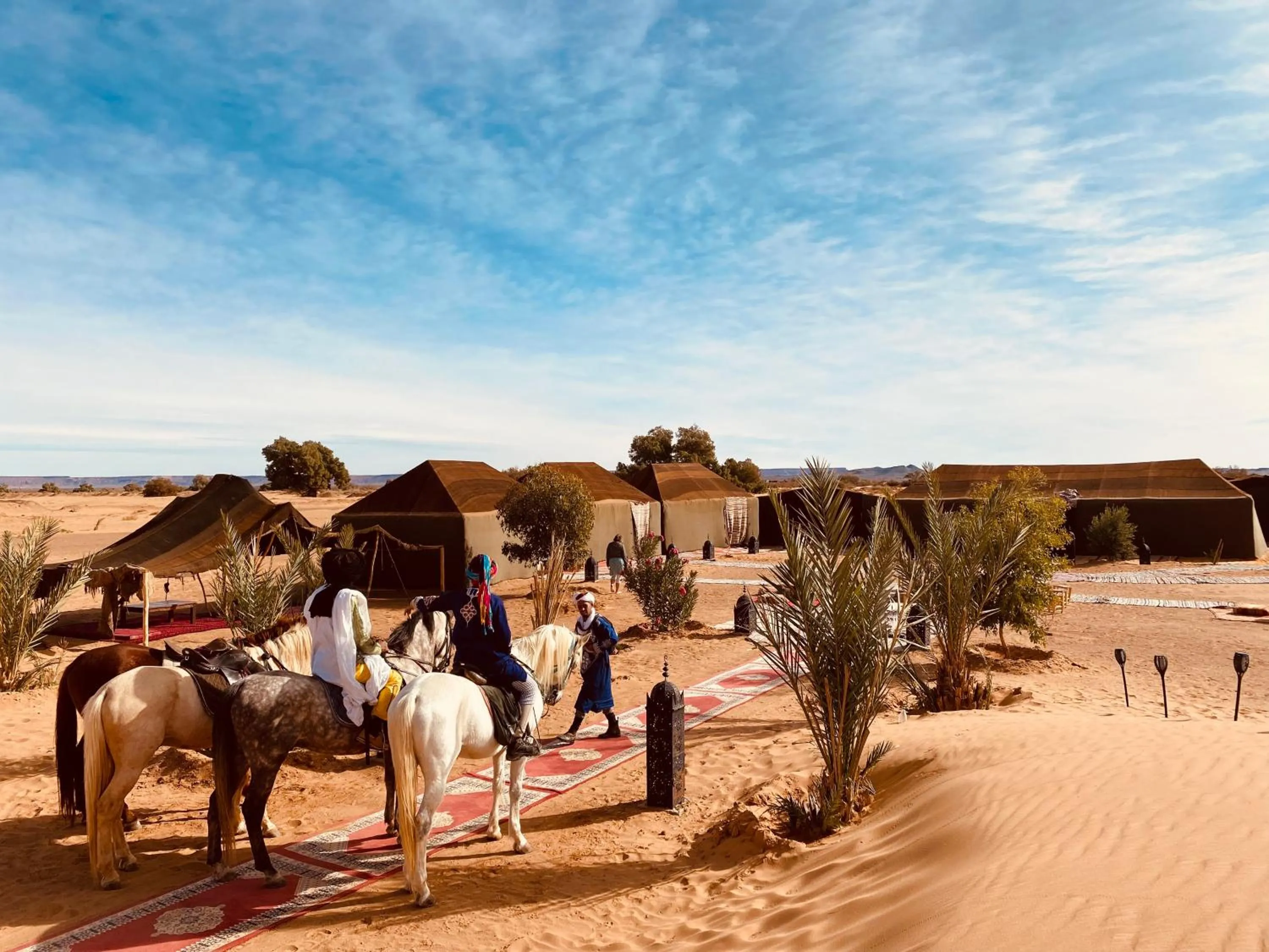 Property building in Sahara wellness camp