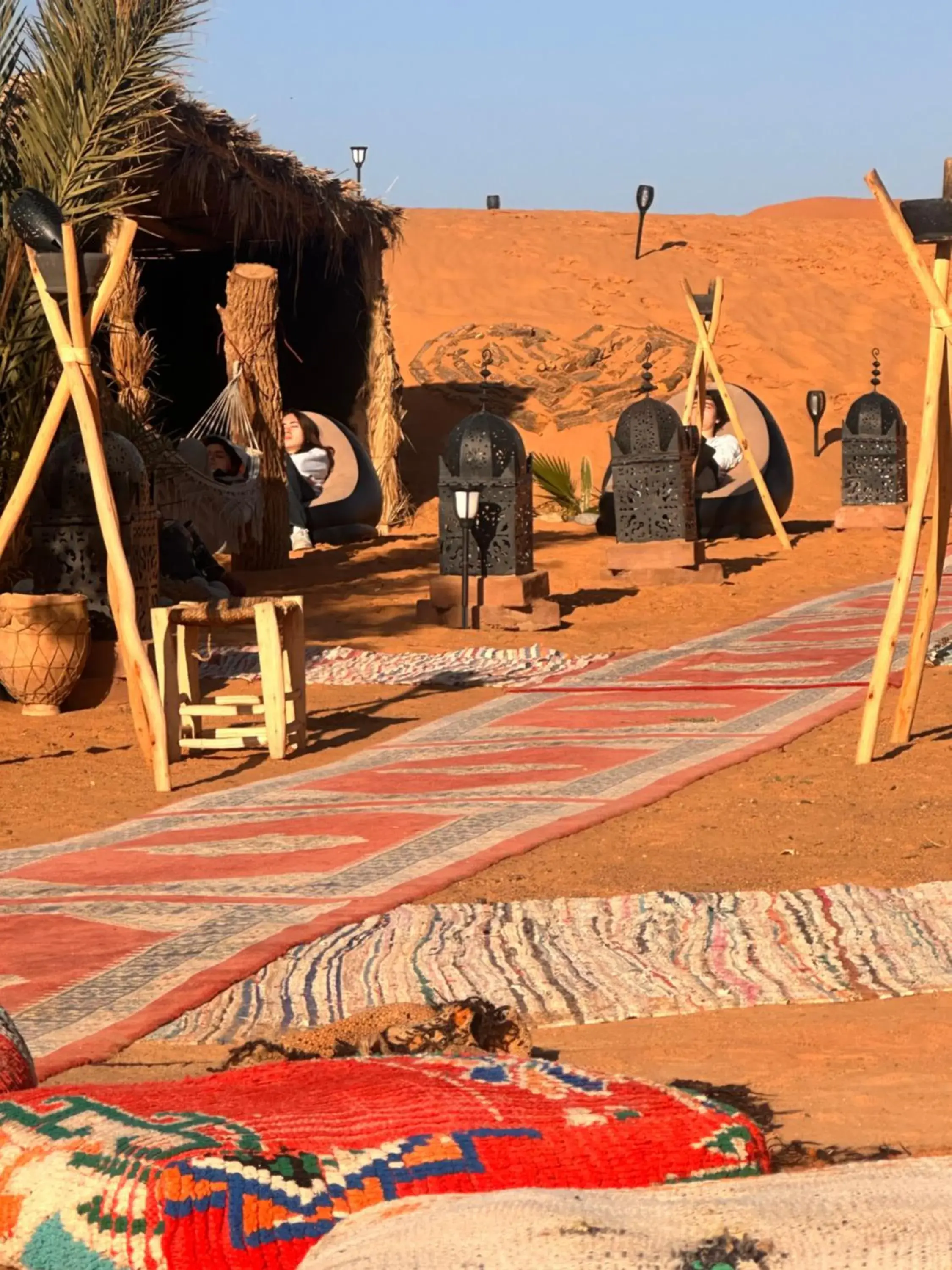 Standard Suite in Sahara wellness camp Standard Suite in Sahara wellness camp