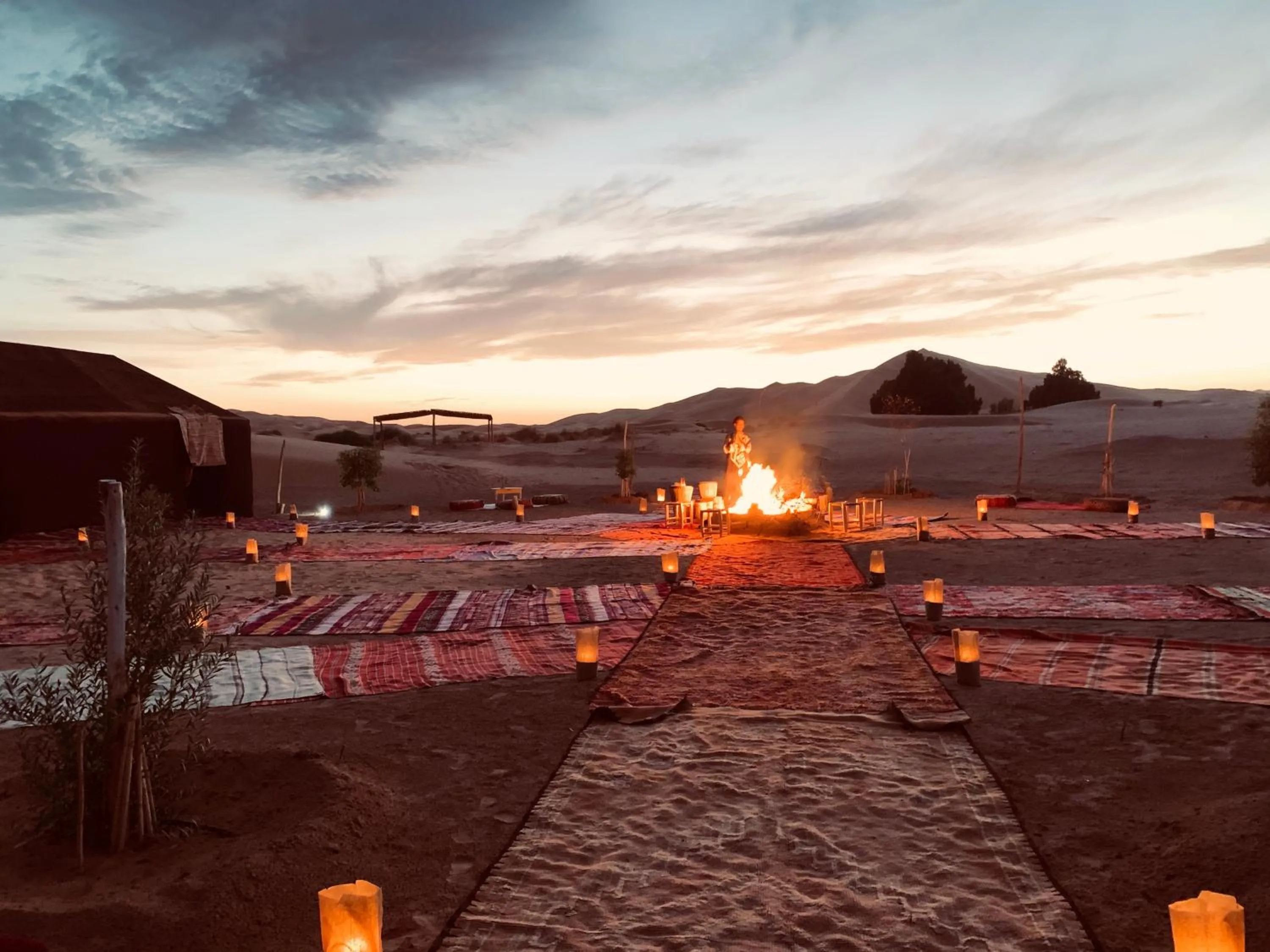 Property building in Sahara wellness camp