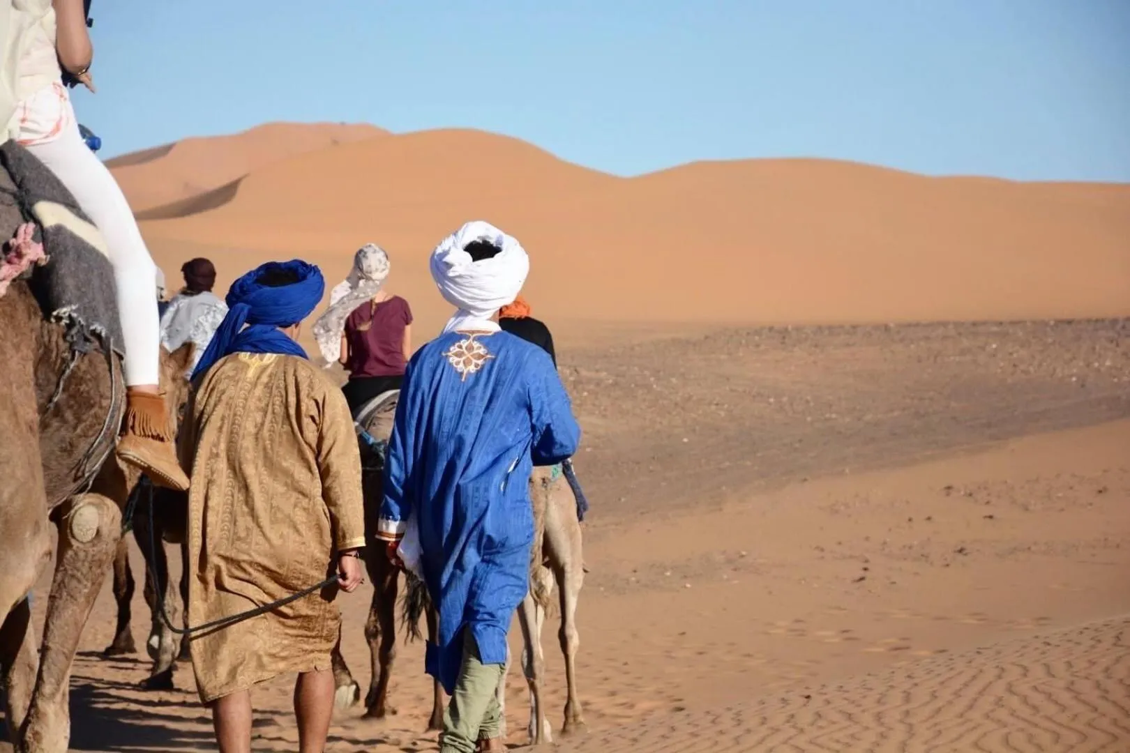 Day in Sahara wellness camp