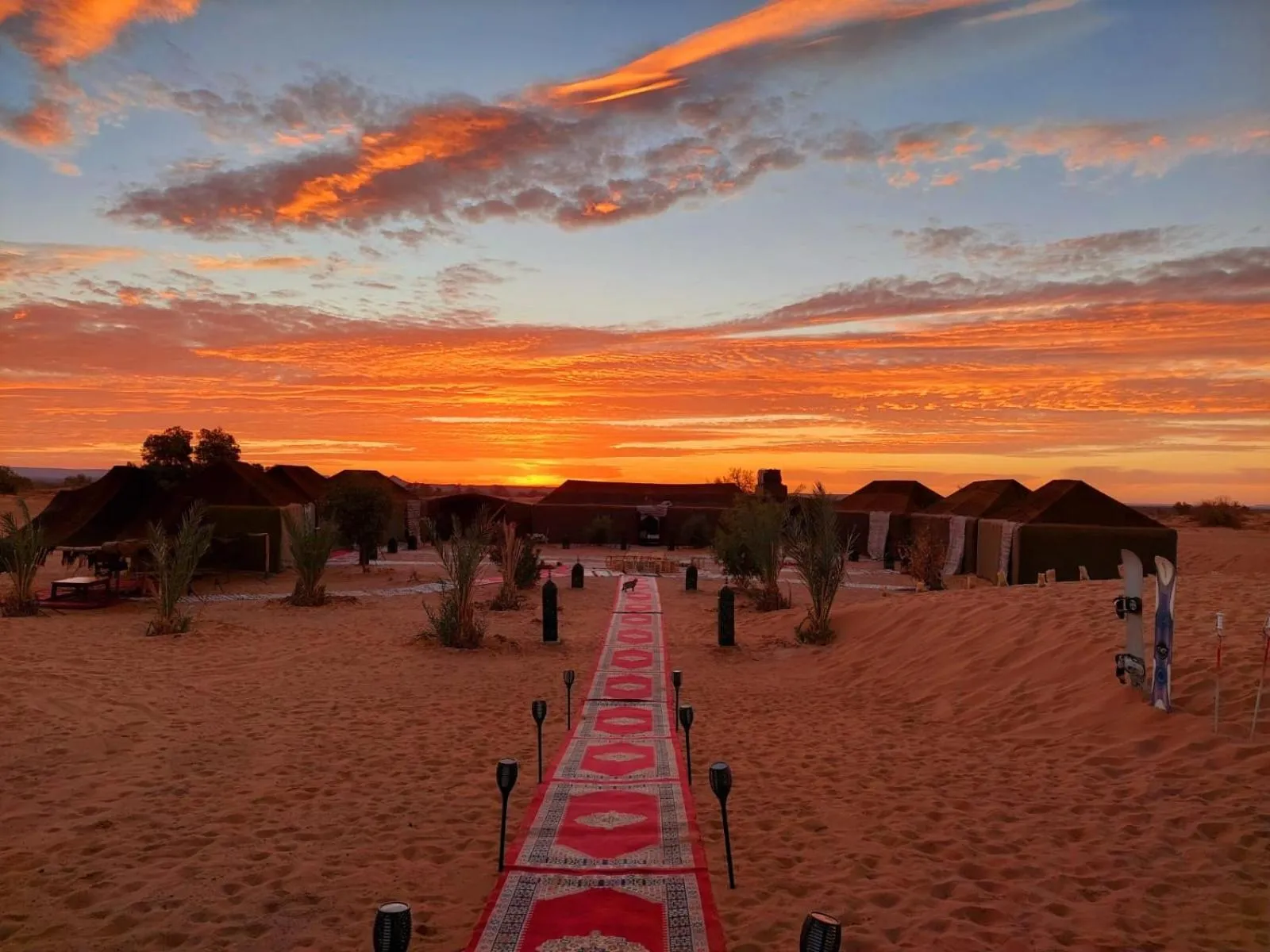 Property building in Sahara wellness camp