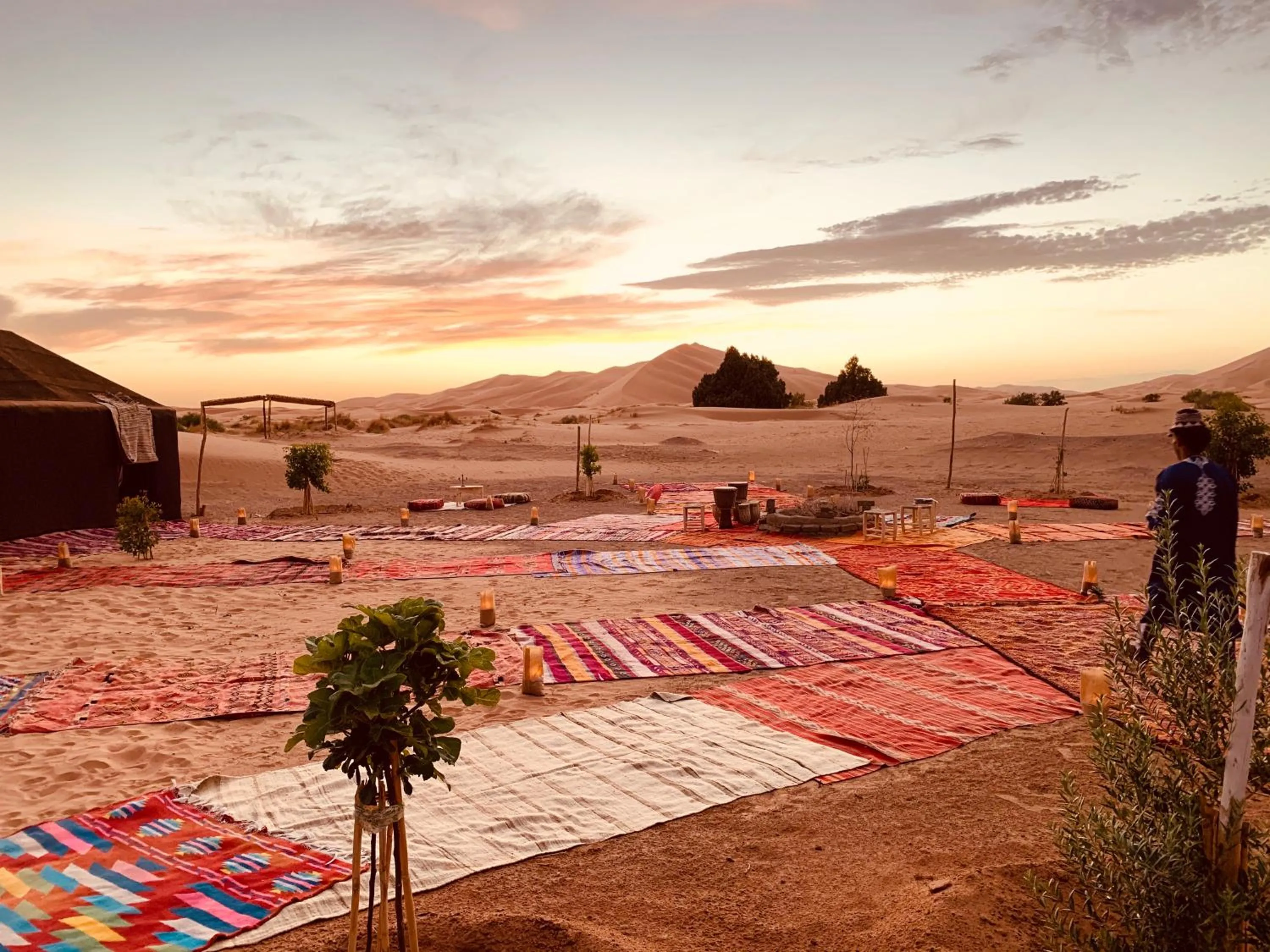 Property building in Sahara wellness camp