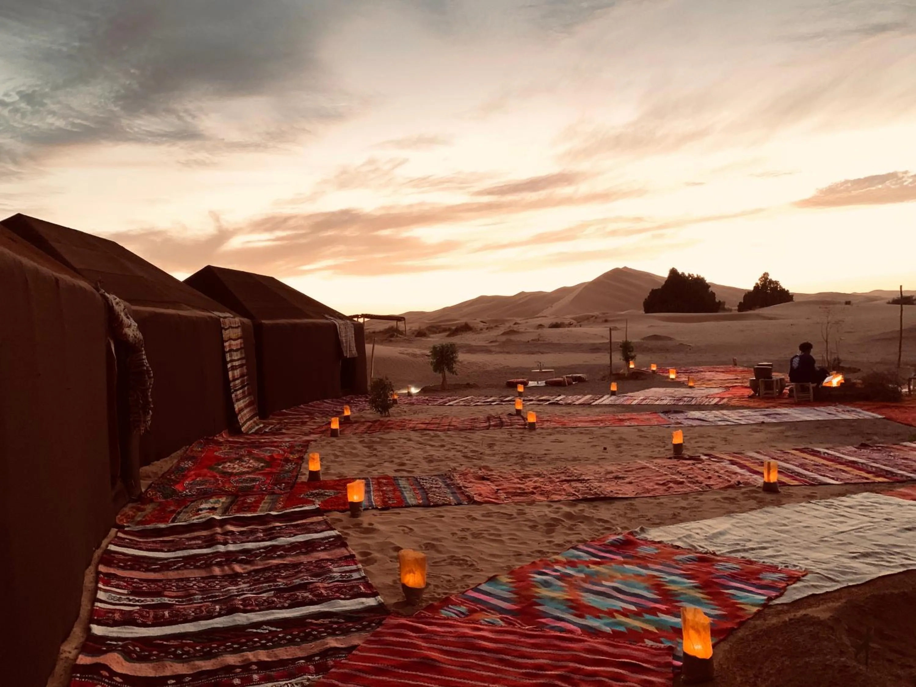 View (from property/room) in Sahara wellness camp