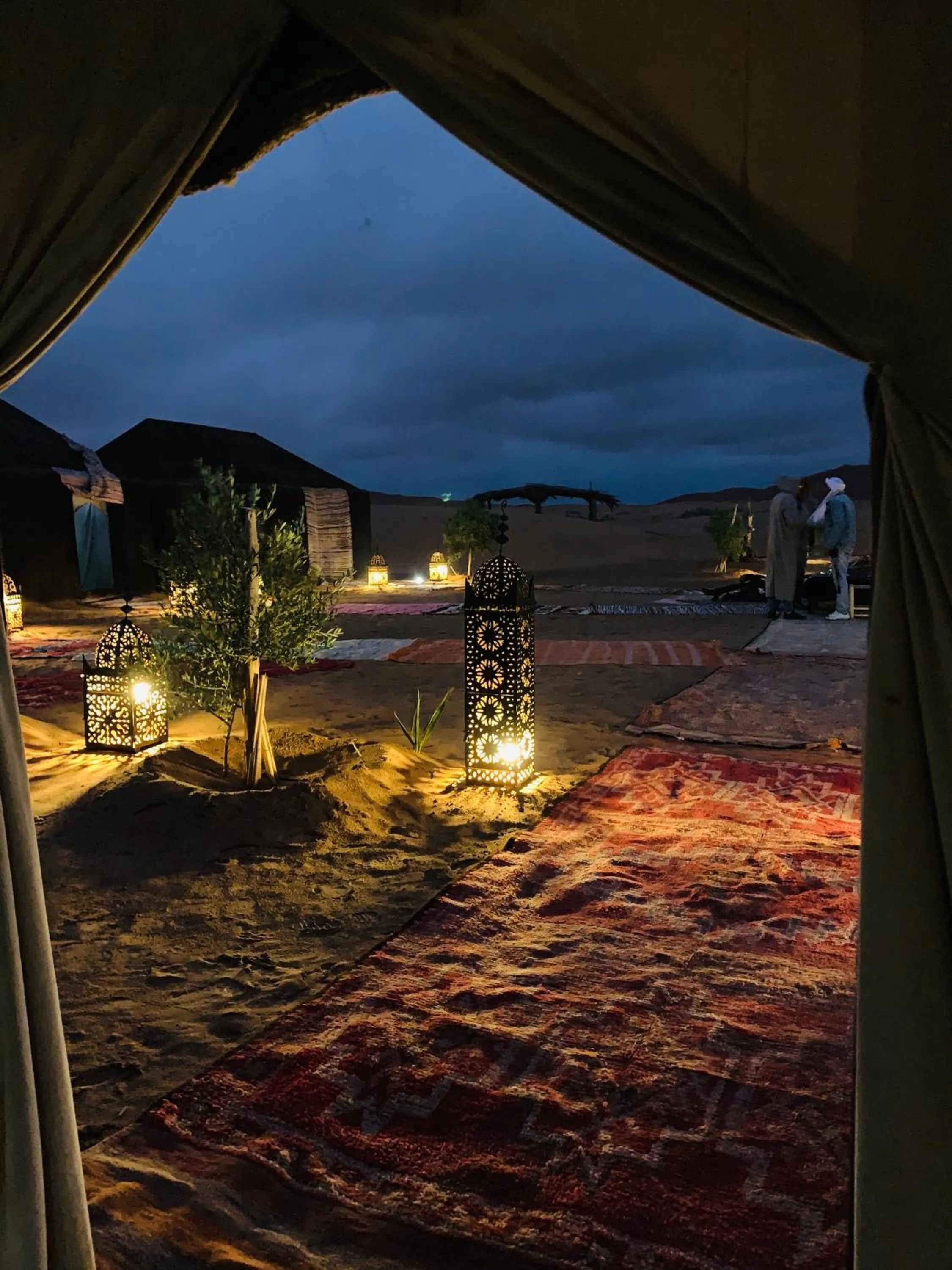 Property building in Sahara wellness camp