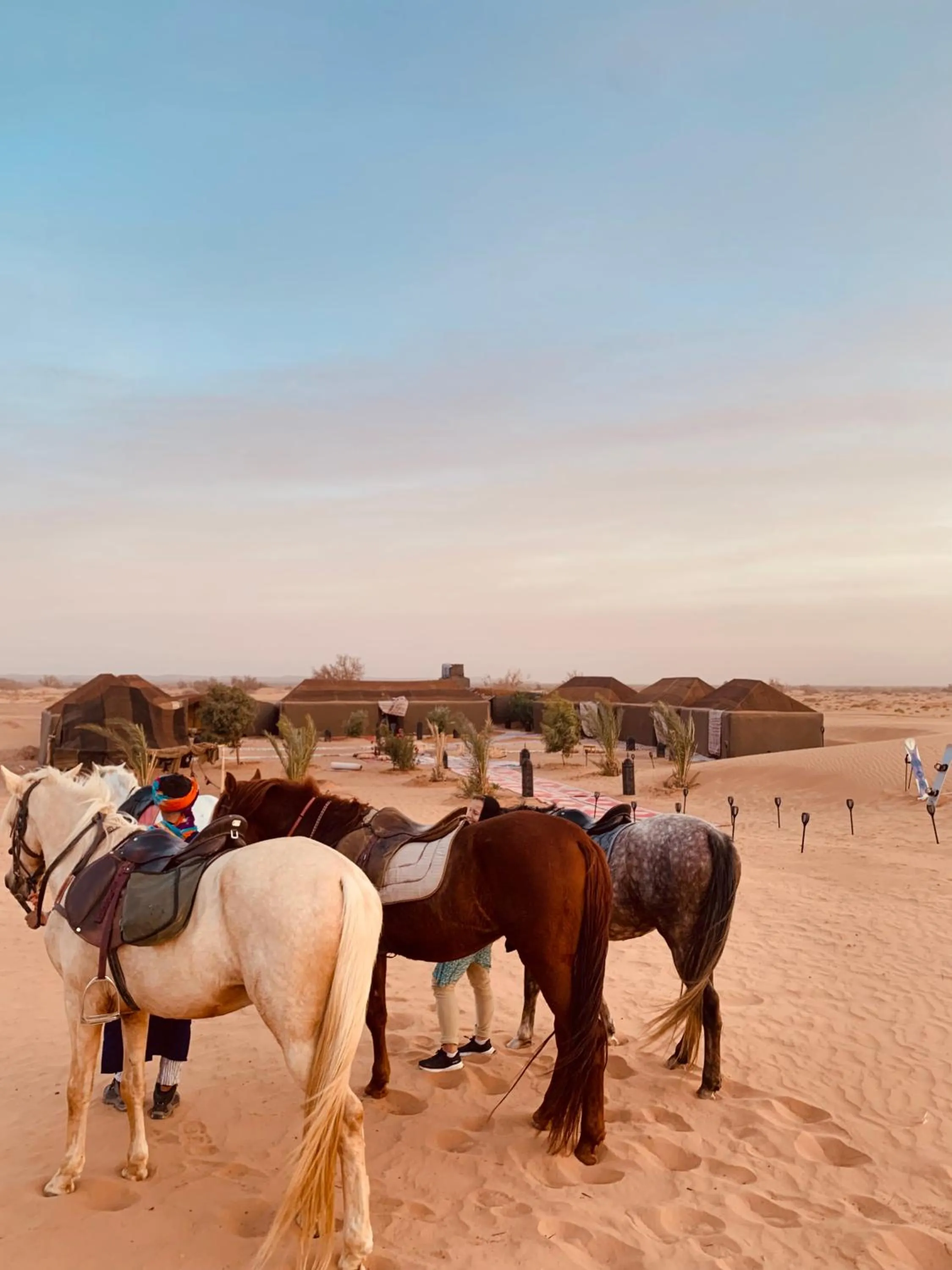 Property building in Sahara wellness camp