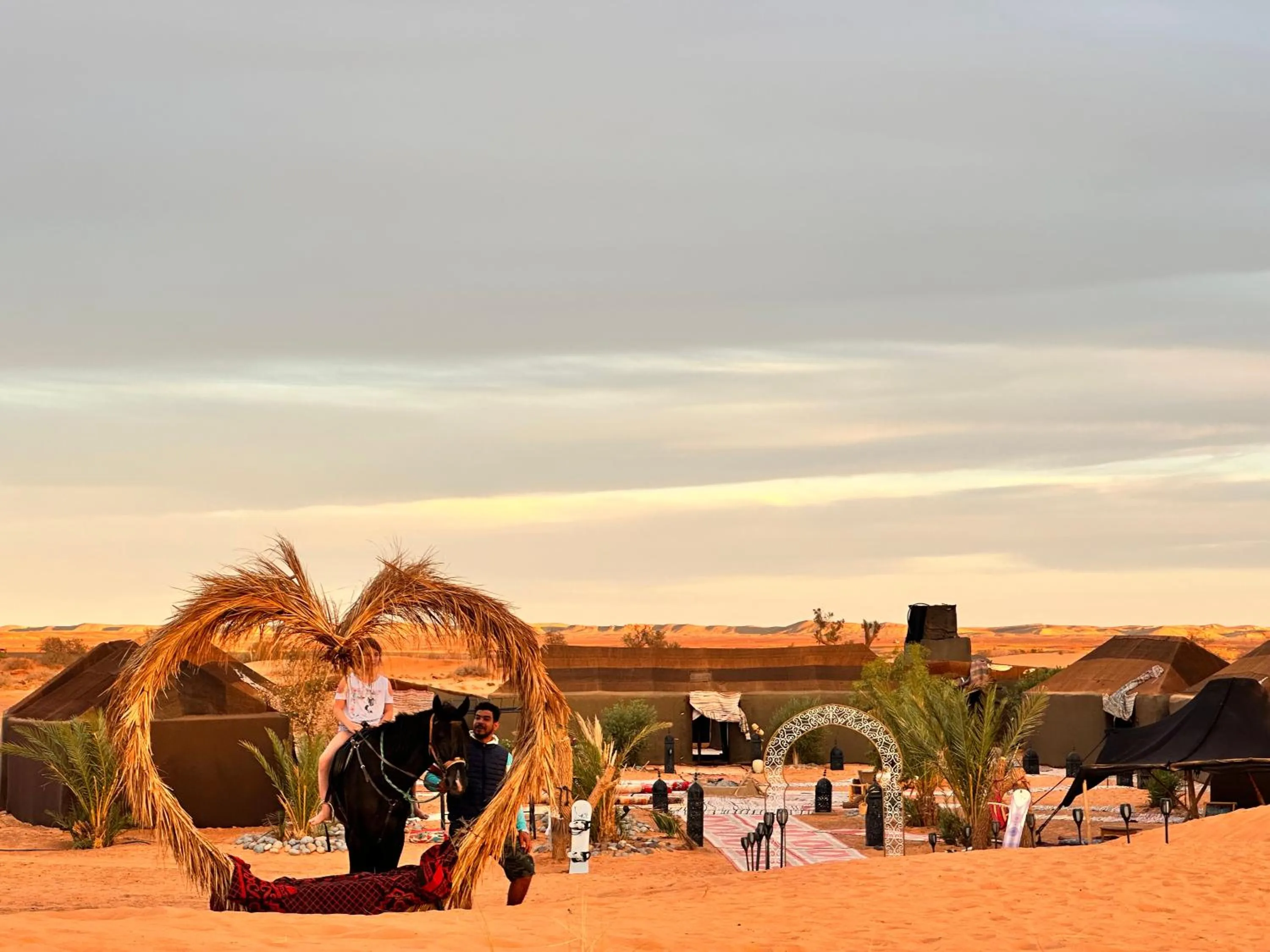 Property building in Sahara wellness camp