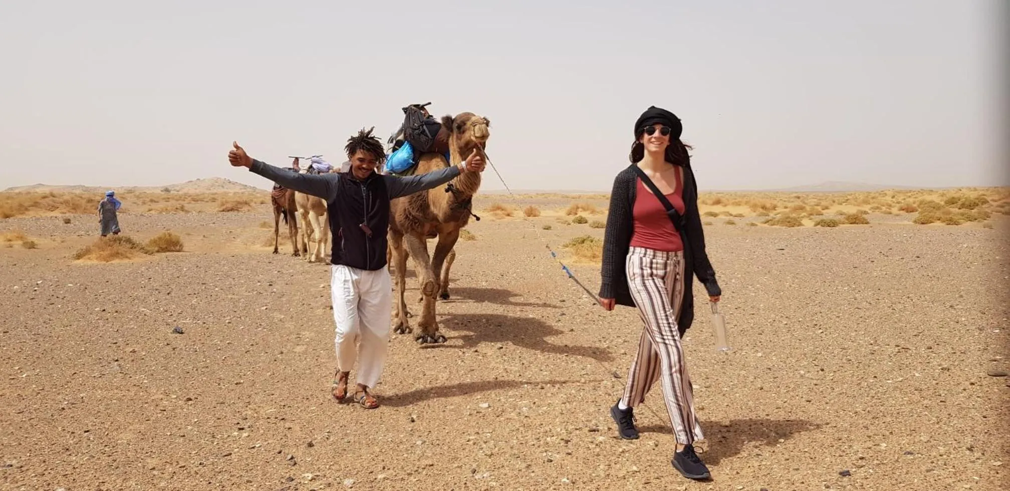 Property building in Sahara wellness camp