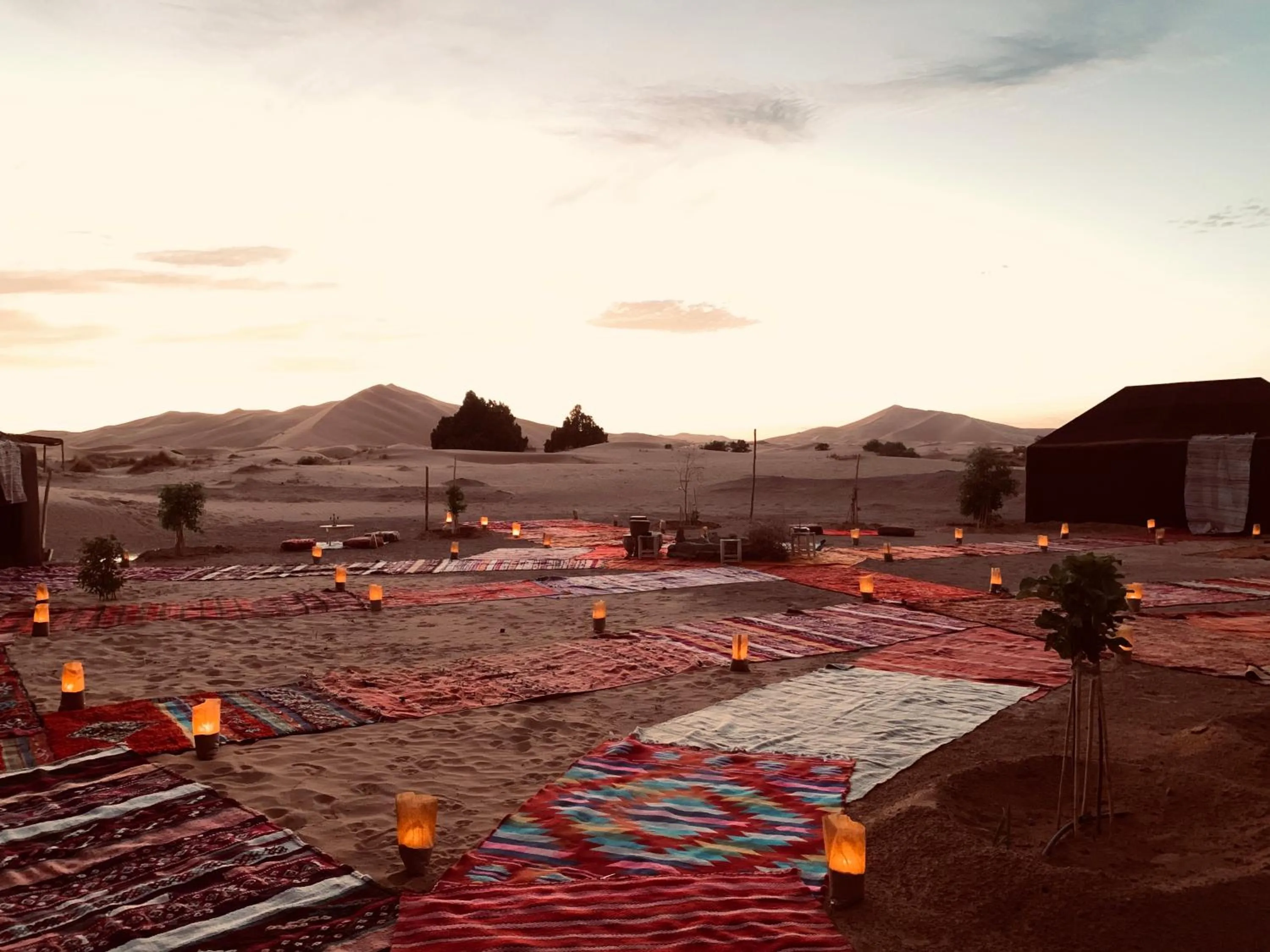 Day in Sahara wellness camp