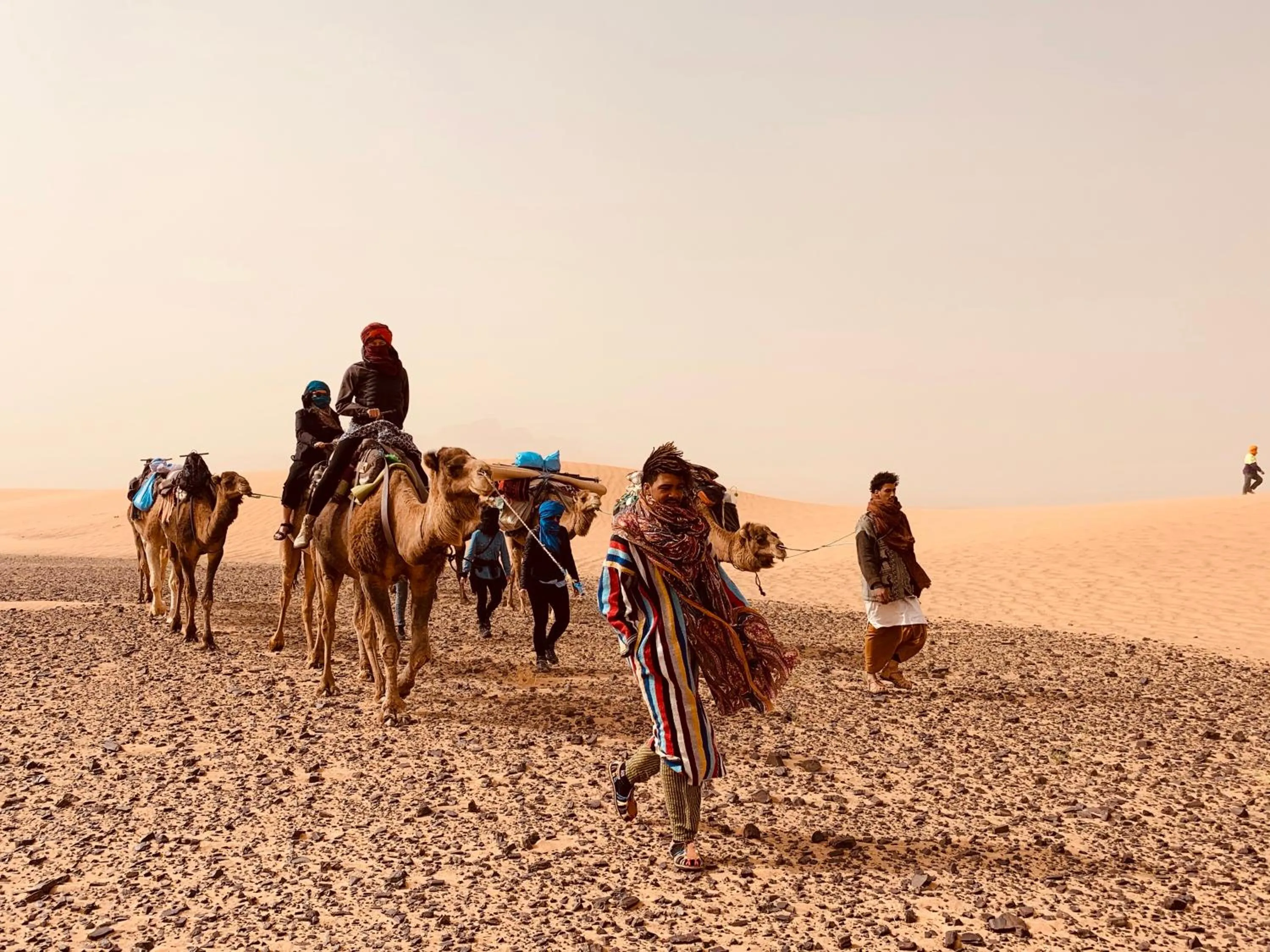 Property building in Sahara wellness camp