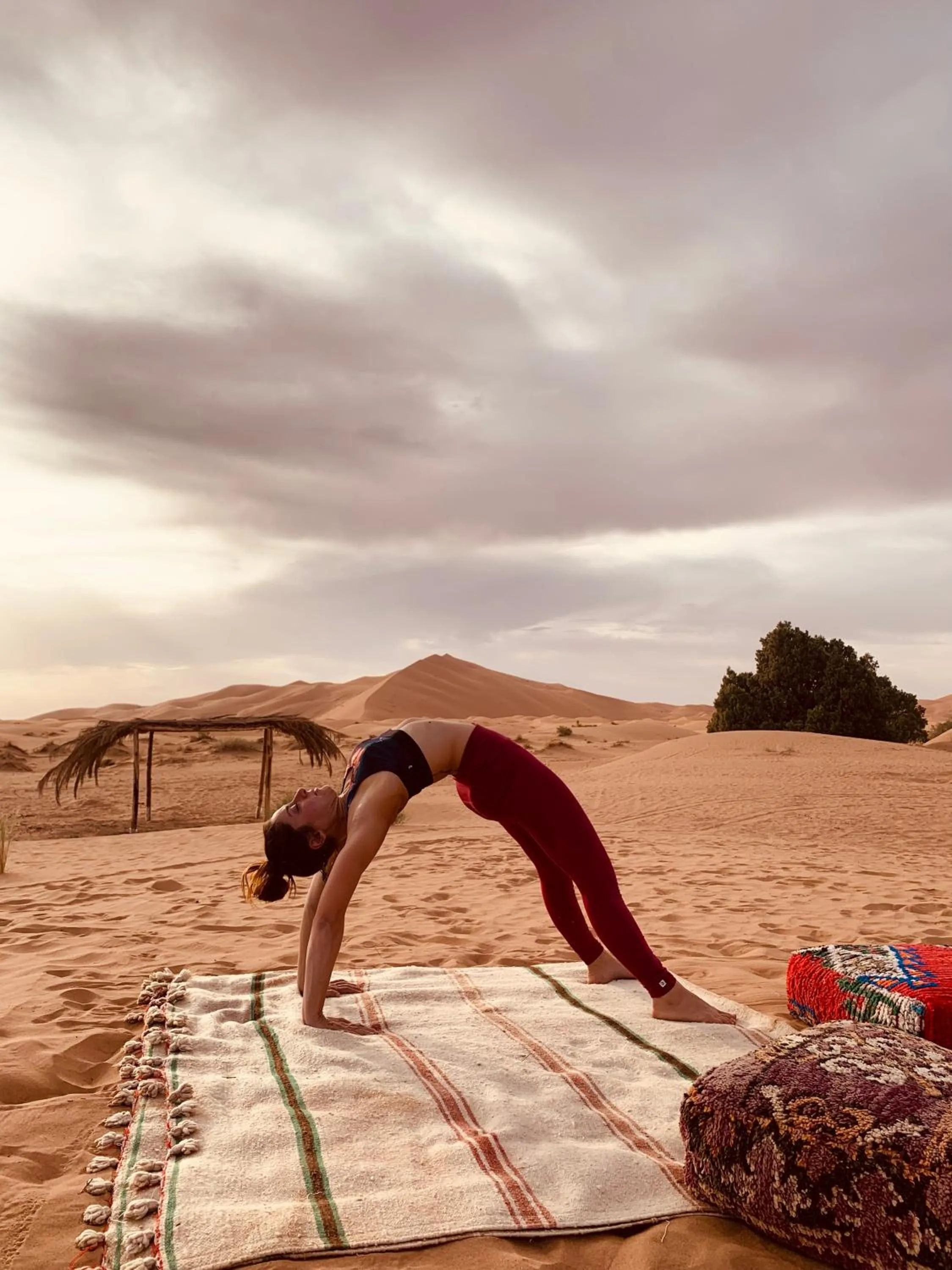 Property building in Sahara wellness camp