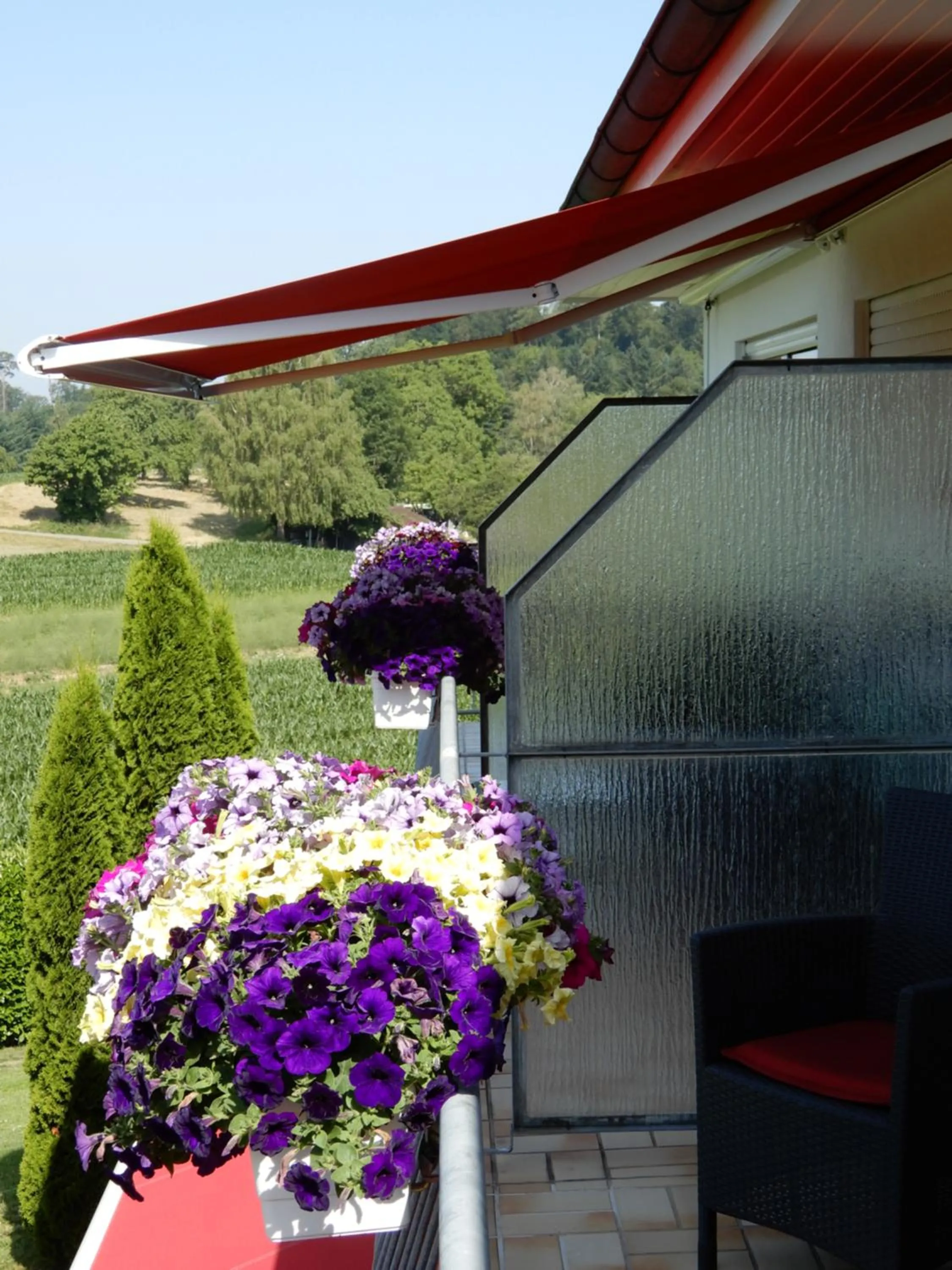 Balcony/Terrace in Hotel Kurallee