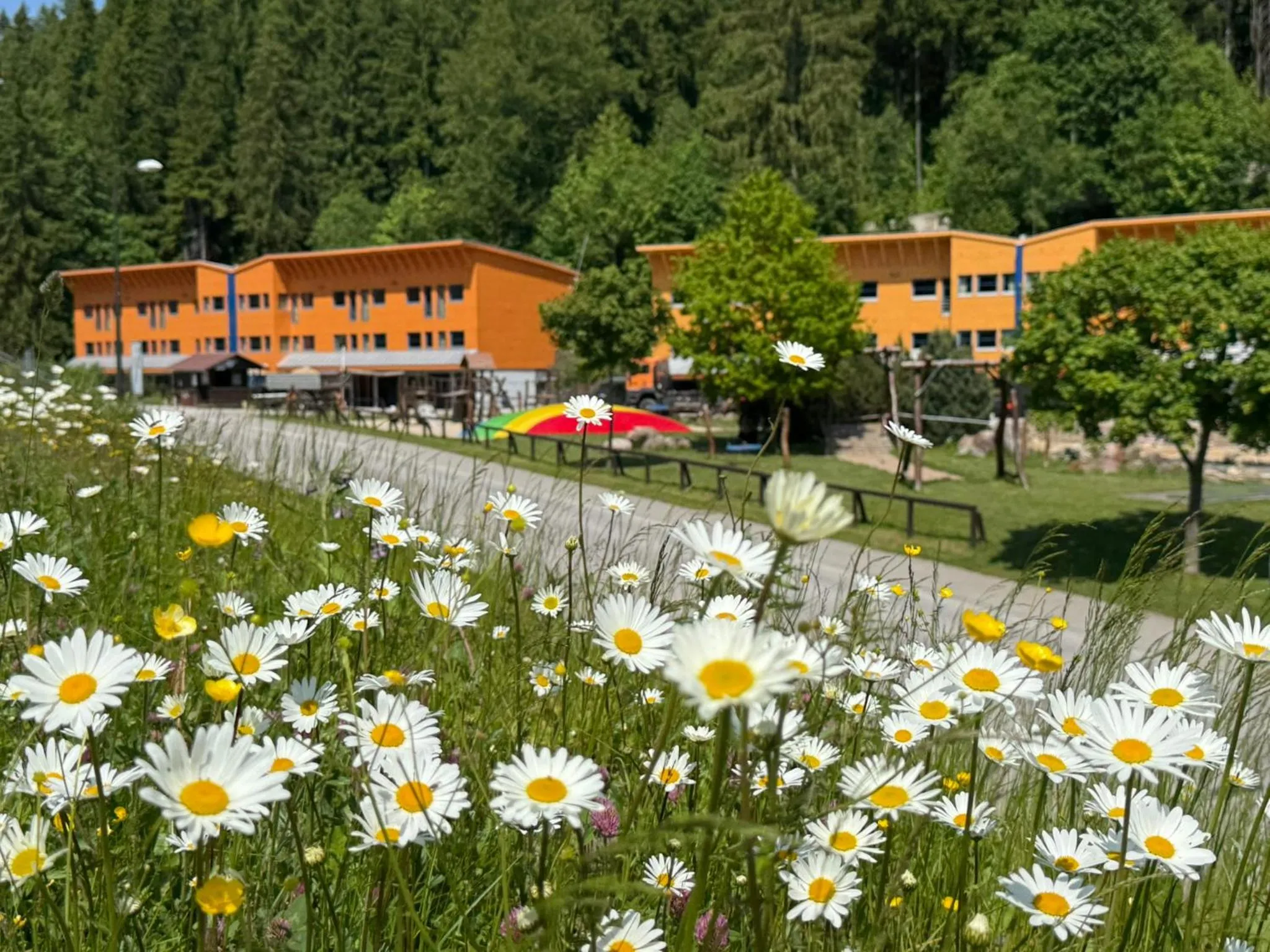 Property building in Resort Špindl