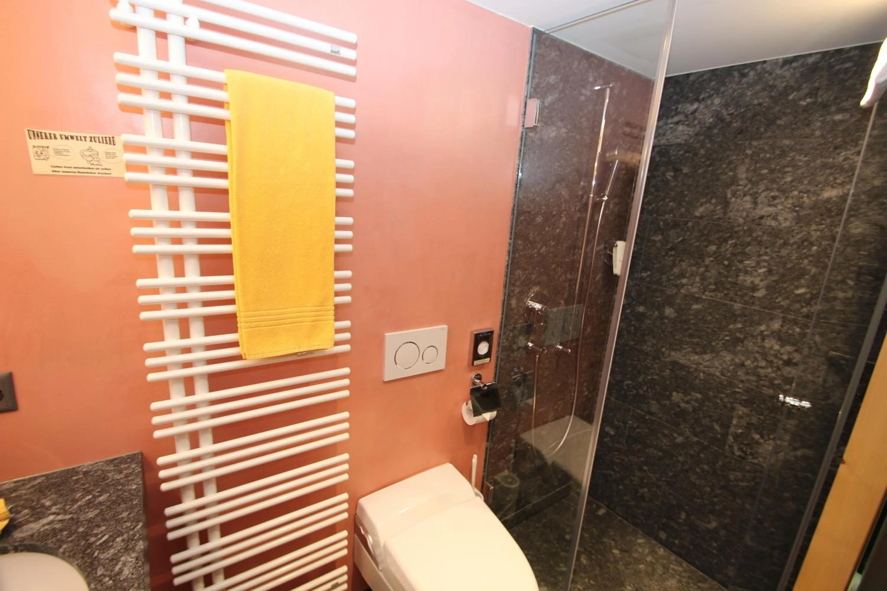 Shower in Hotel Gspan