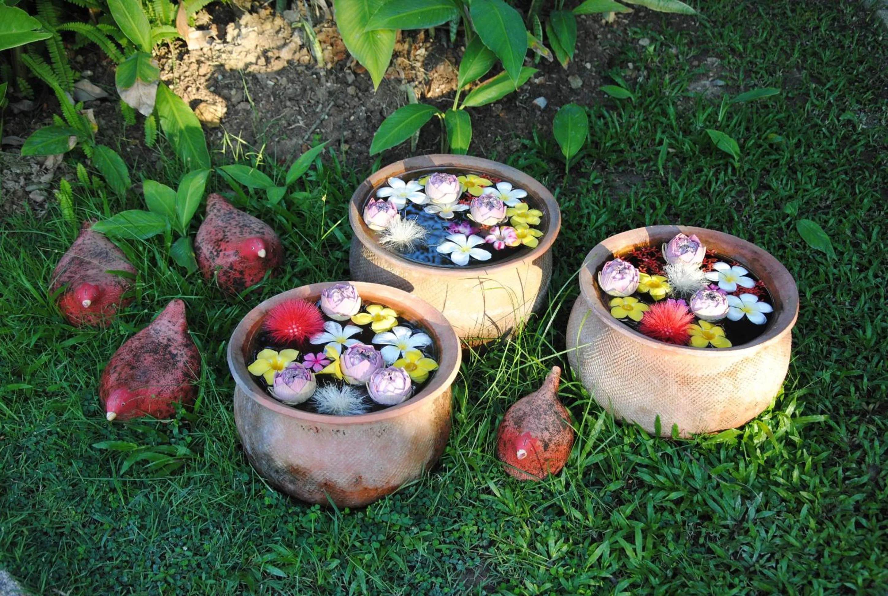 Garden in Baan Chai Thung Resort