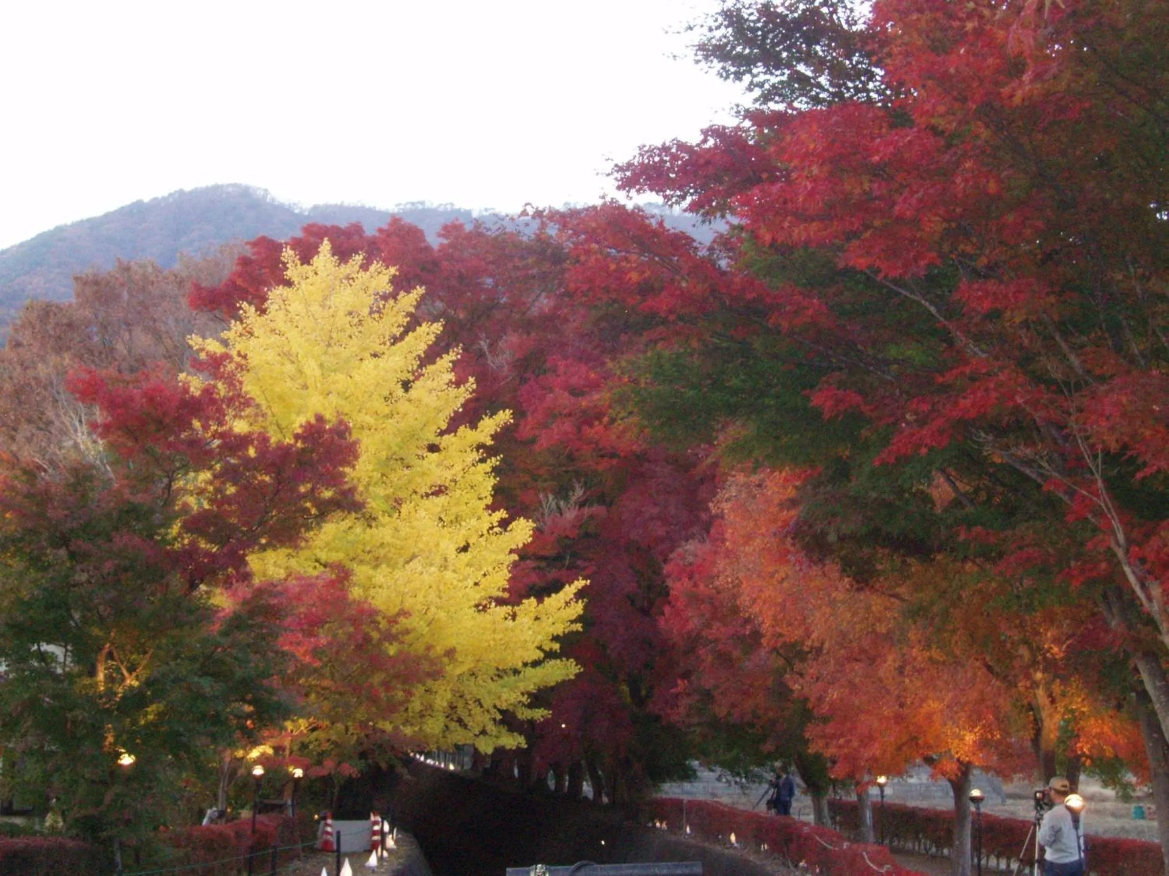 Autumn in Komaya Ryokan