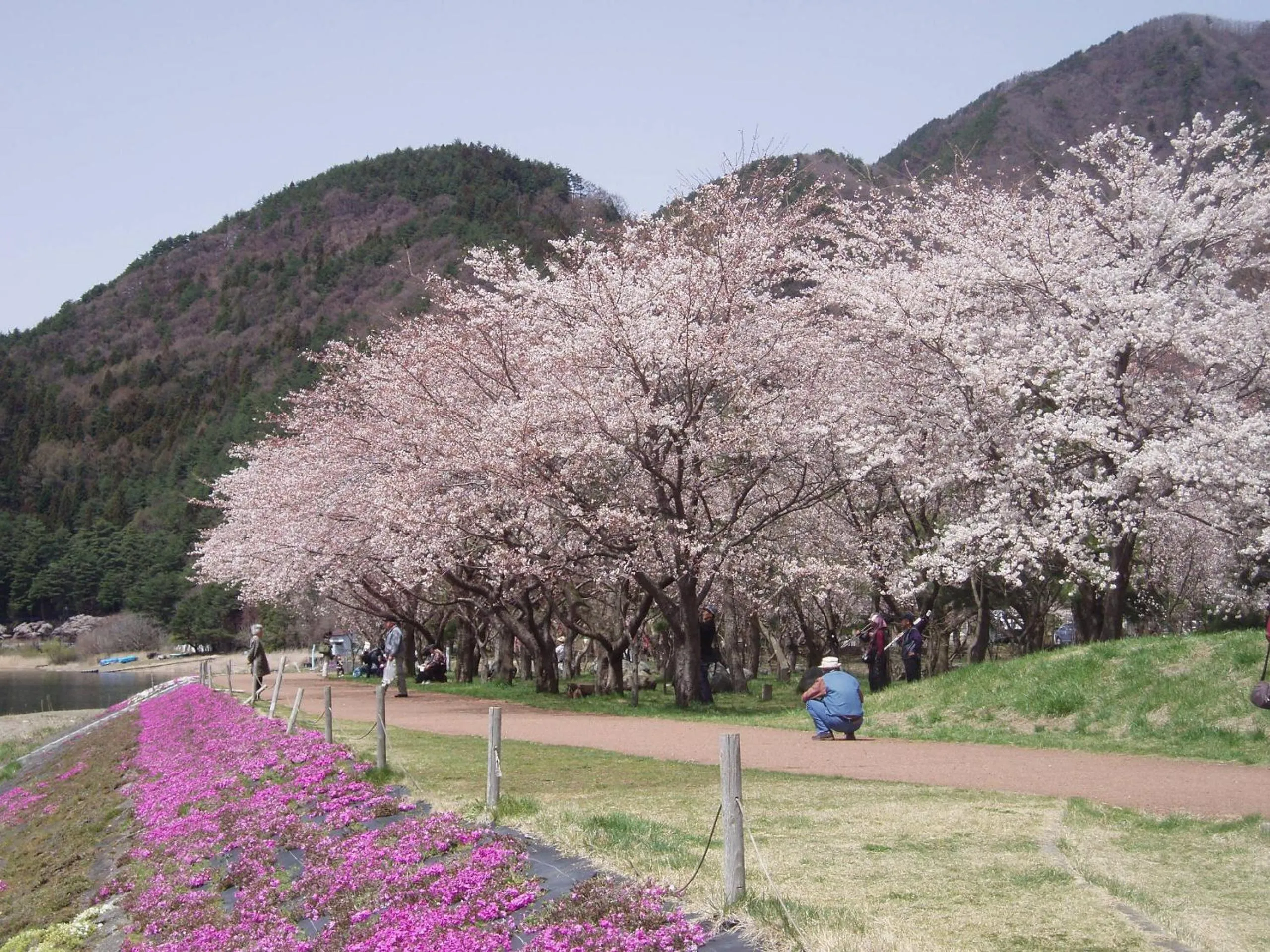 Day in Komaya Ryokan