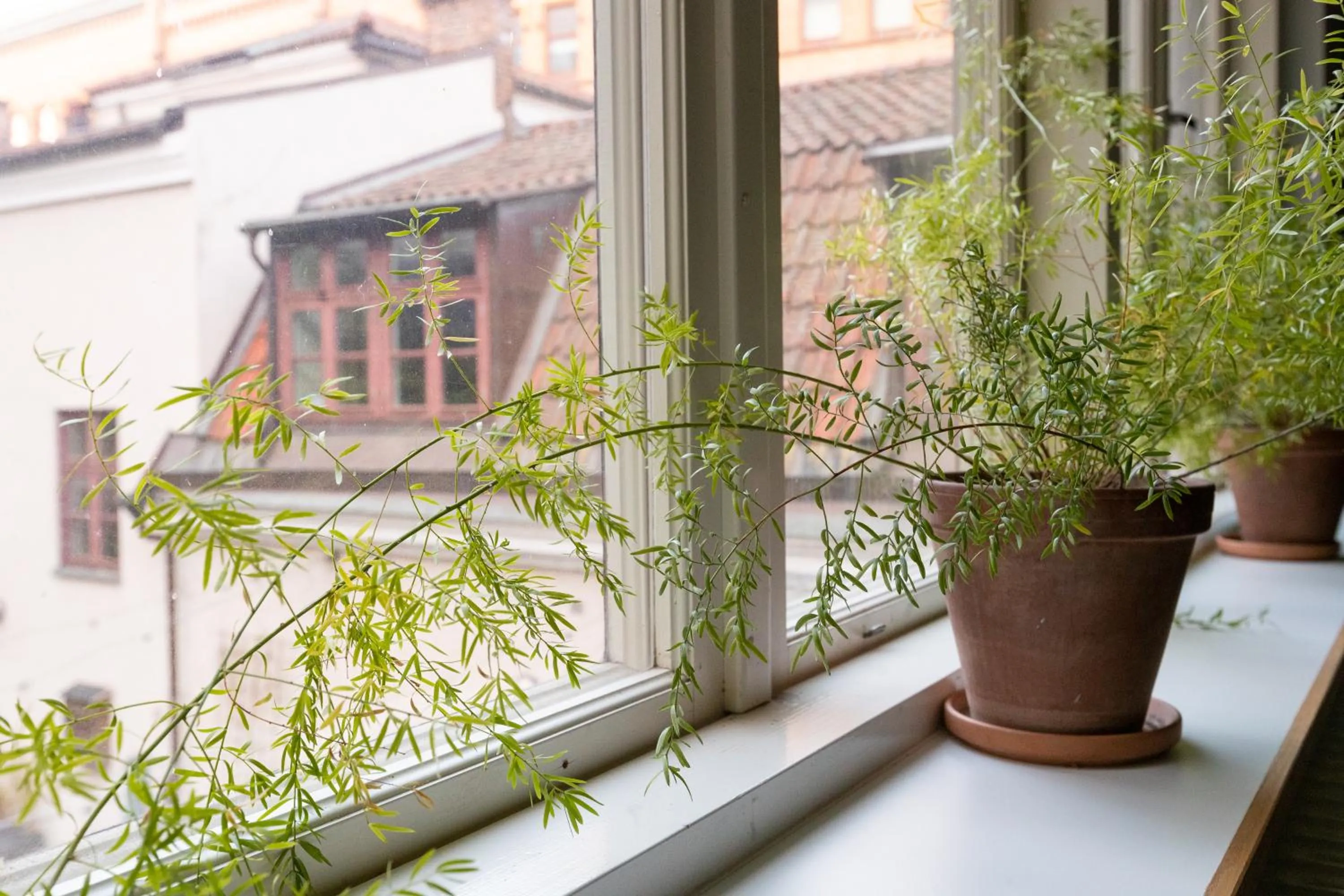 Decorative detail in STF Hostel Stigbergsliden