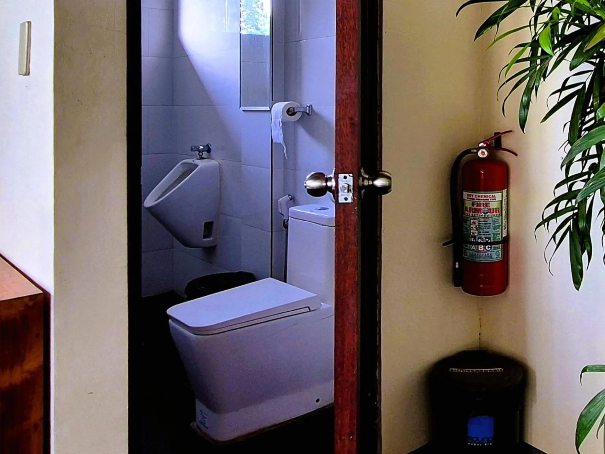 Toilet in Green Turtle Backpackers Guesthouse, Puerto Princesa