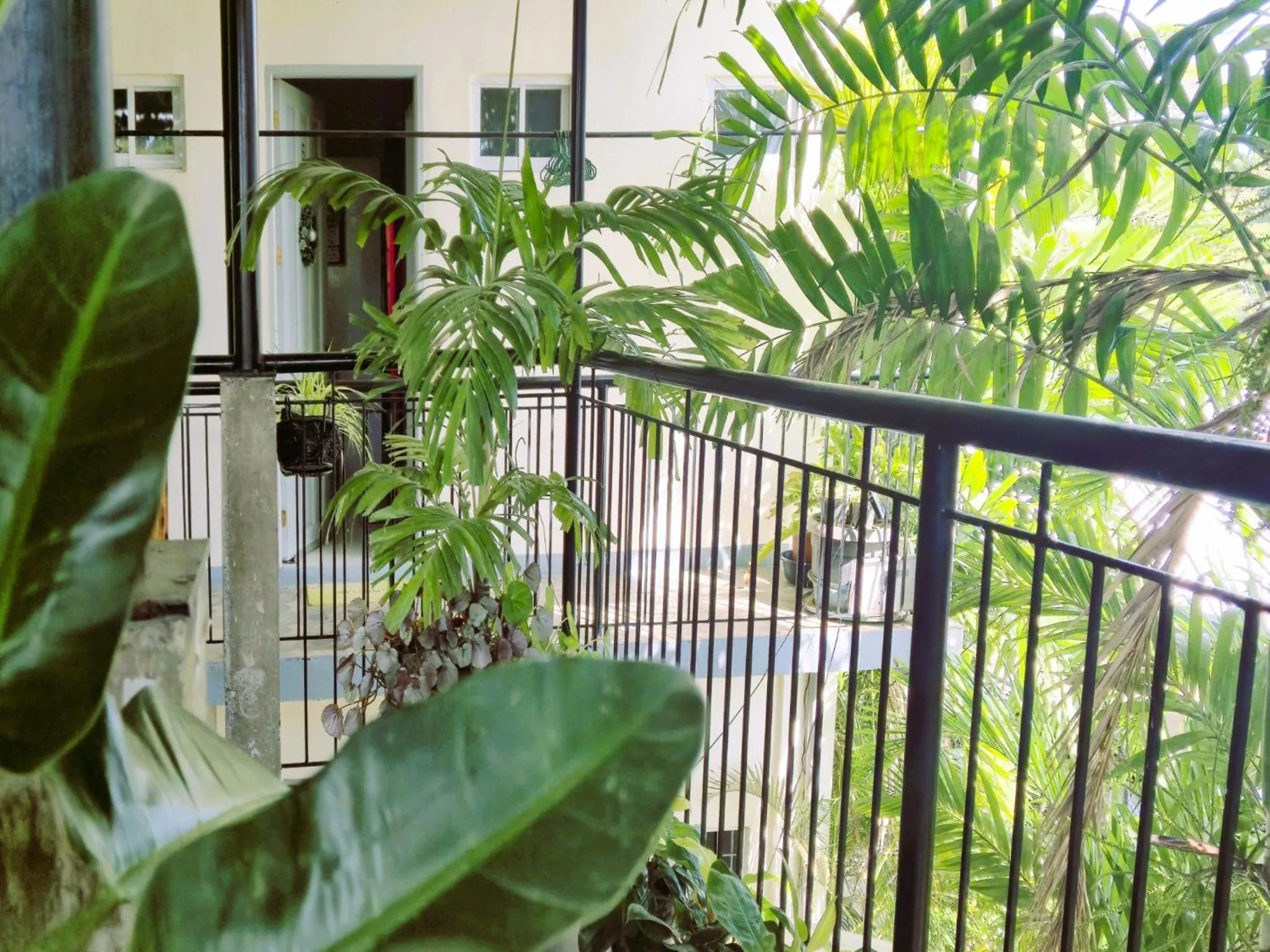 Balcony/Terrace in Green Turtle Backpackers Guesthouse, Puerto Princesa