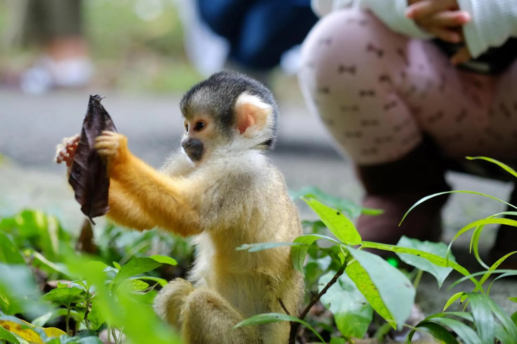 Neighbourhood in The BREAKFAST HOTEL MARCHE Ishigaki Island