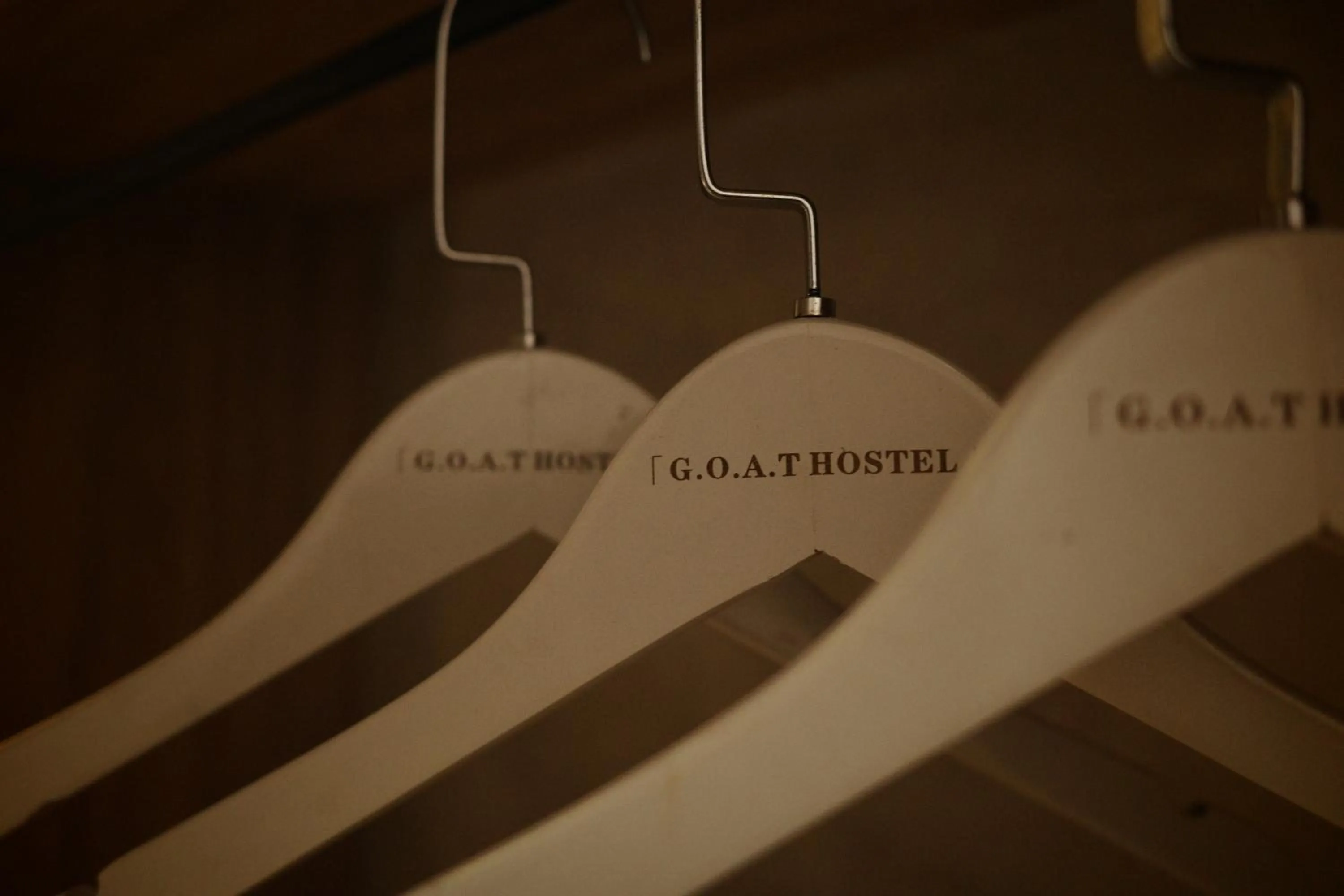 Goat 山羊青旅民宿