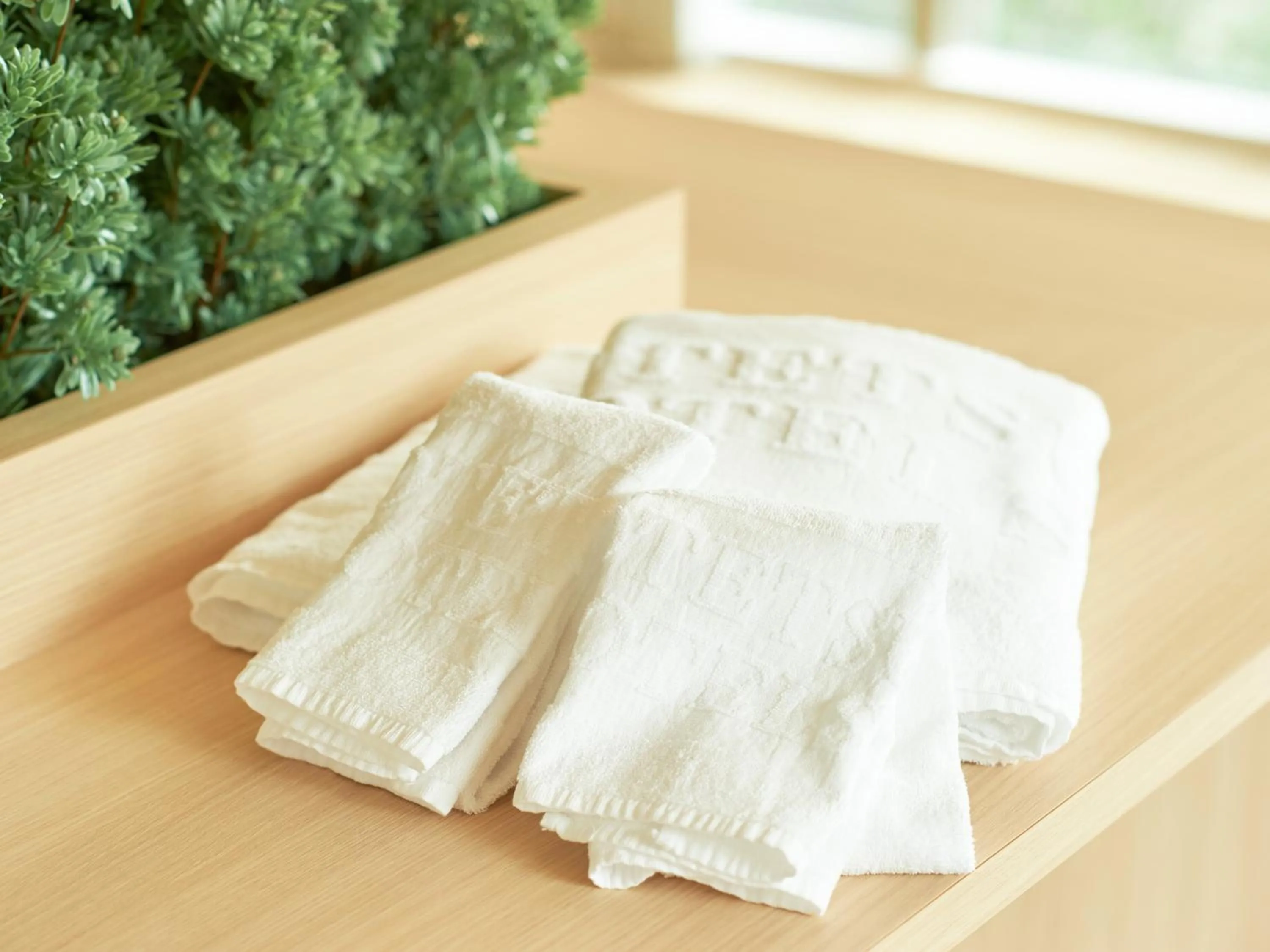 Area and facilities in Sotetsu Fresa Inn Tokyo-Kyobashi