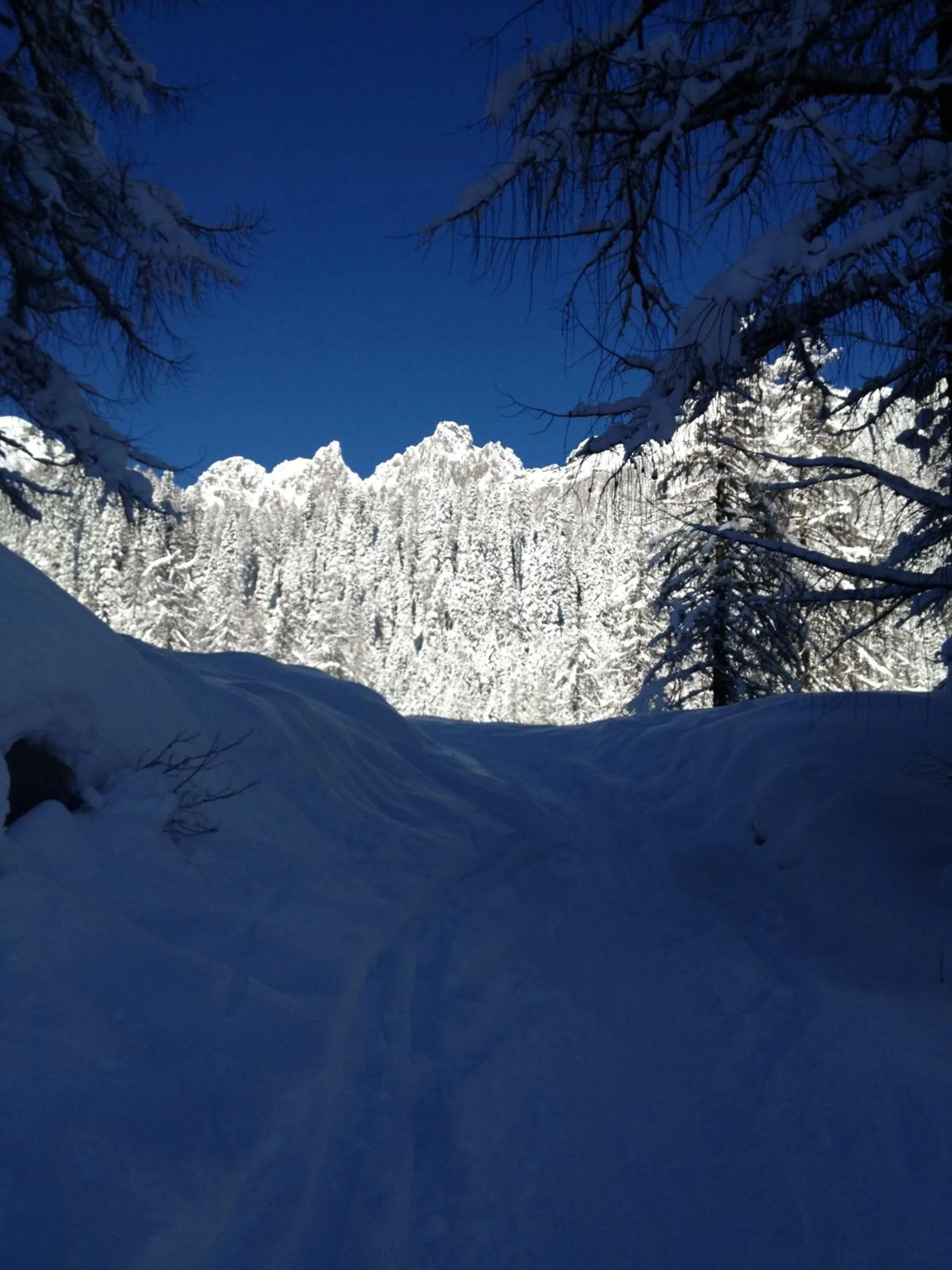 Other in B&B La Montanara