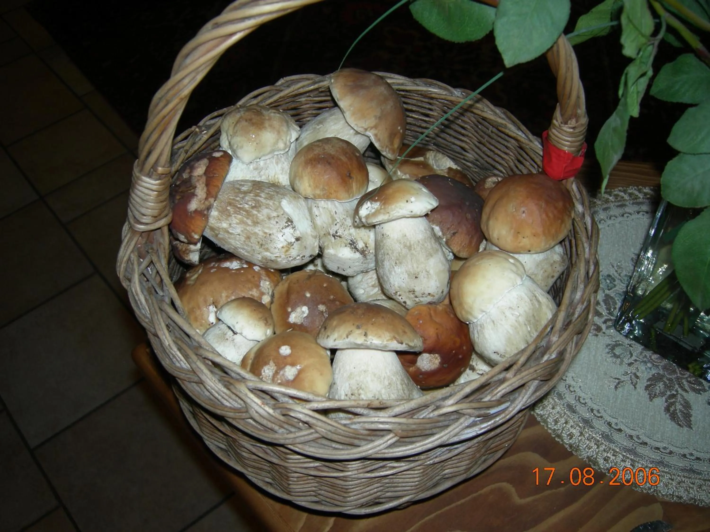 Food in B&B La Montanara