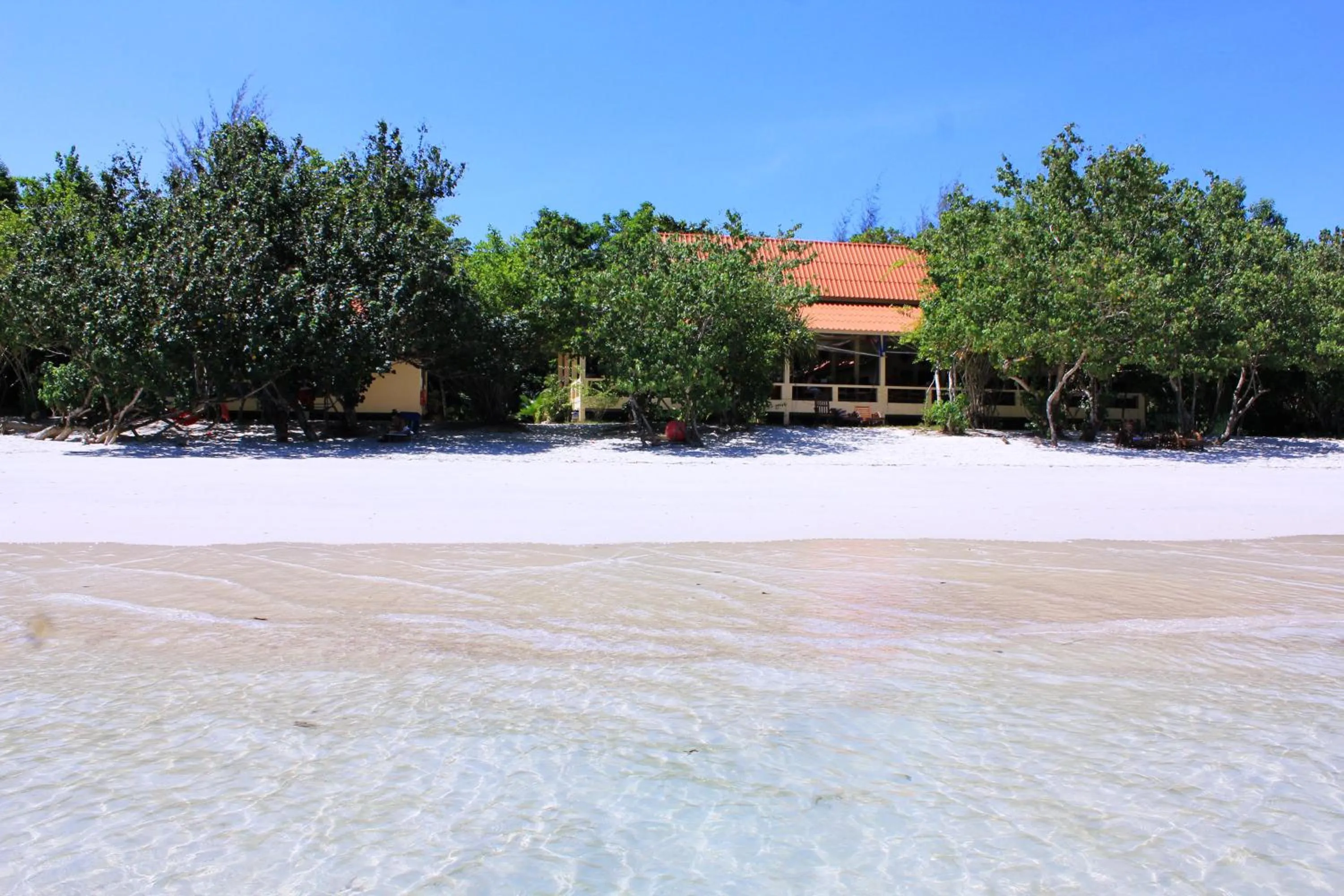 Beach in Buffalo Bay Vacation Club