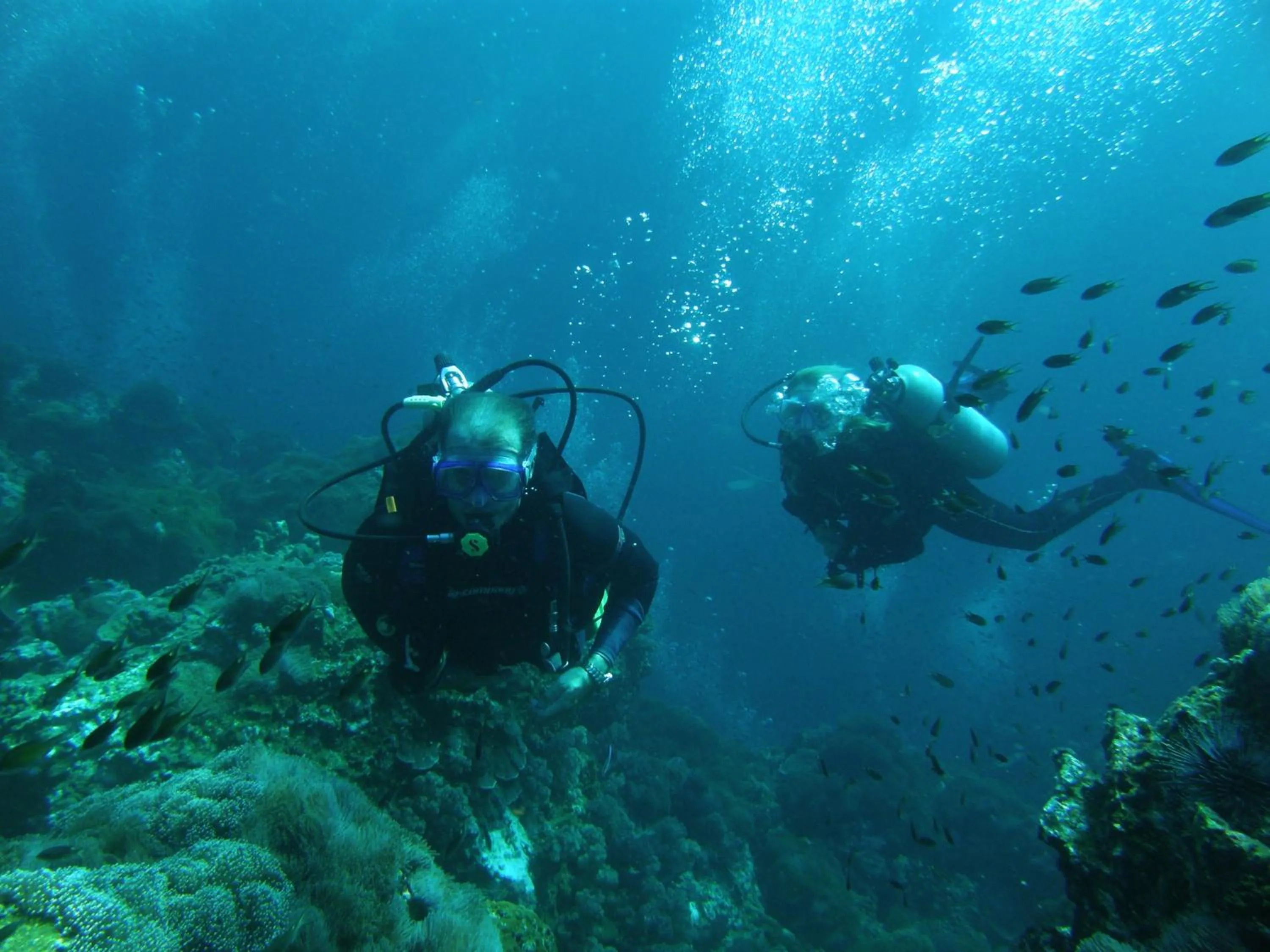 Diving in Buffalo Bay Vacation Club