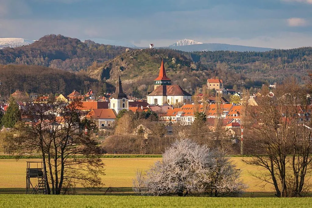 Hotel reSTART Superior